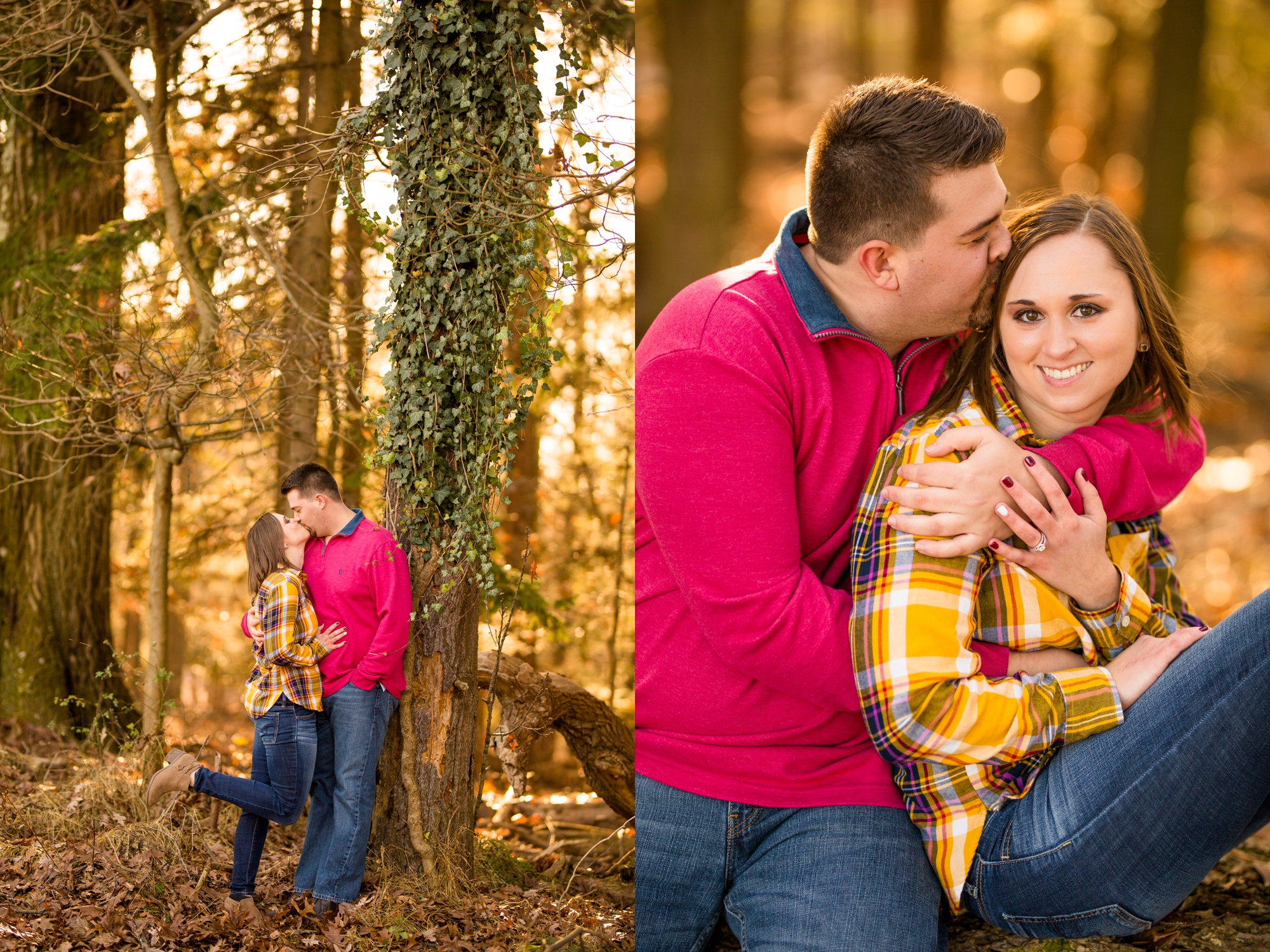 pittsburgh wedding photographer, pittsburgh engagement photos, best spot in pittsburgh for photo shoot, hartwood acres engagement pictures