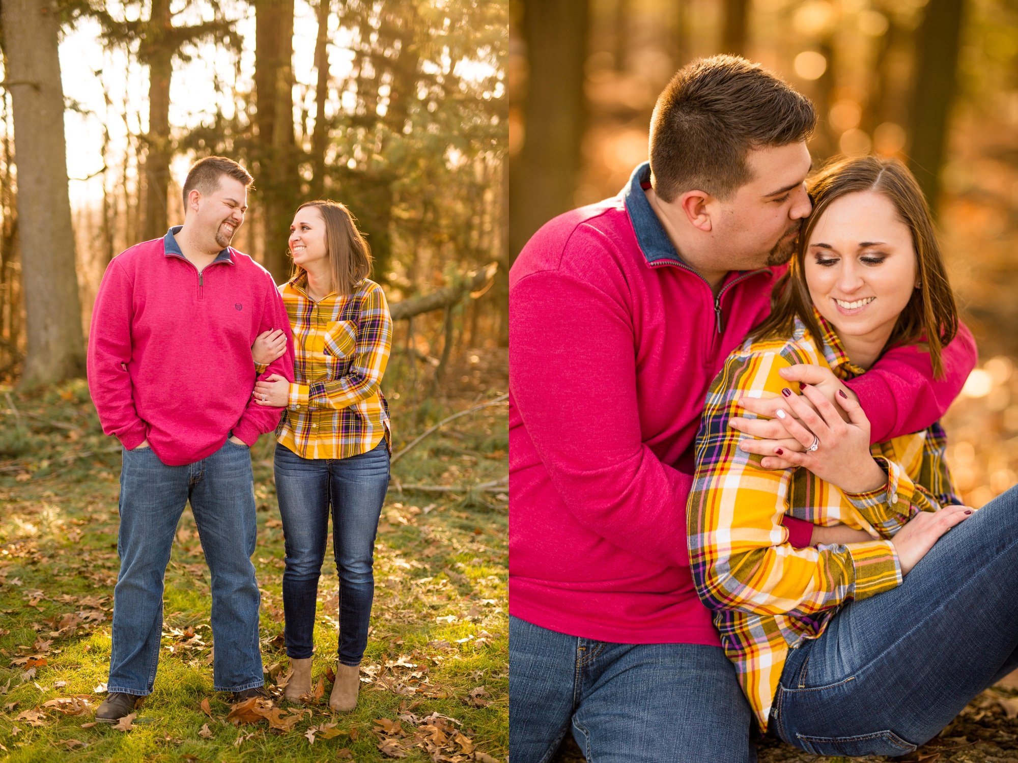 pittsburgh wedding photographer, pittsburgh engagement photos, best spot in pittsburgh for photo shoot, hartwood acres engagement pictures