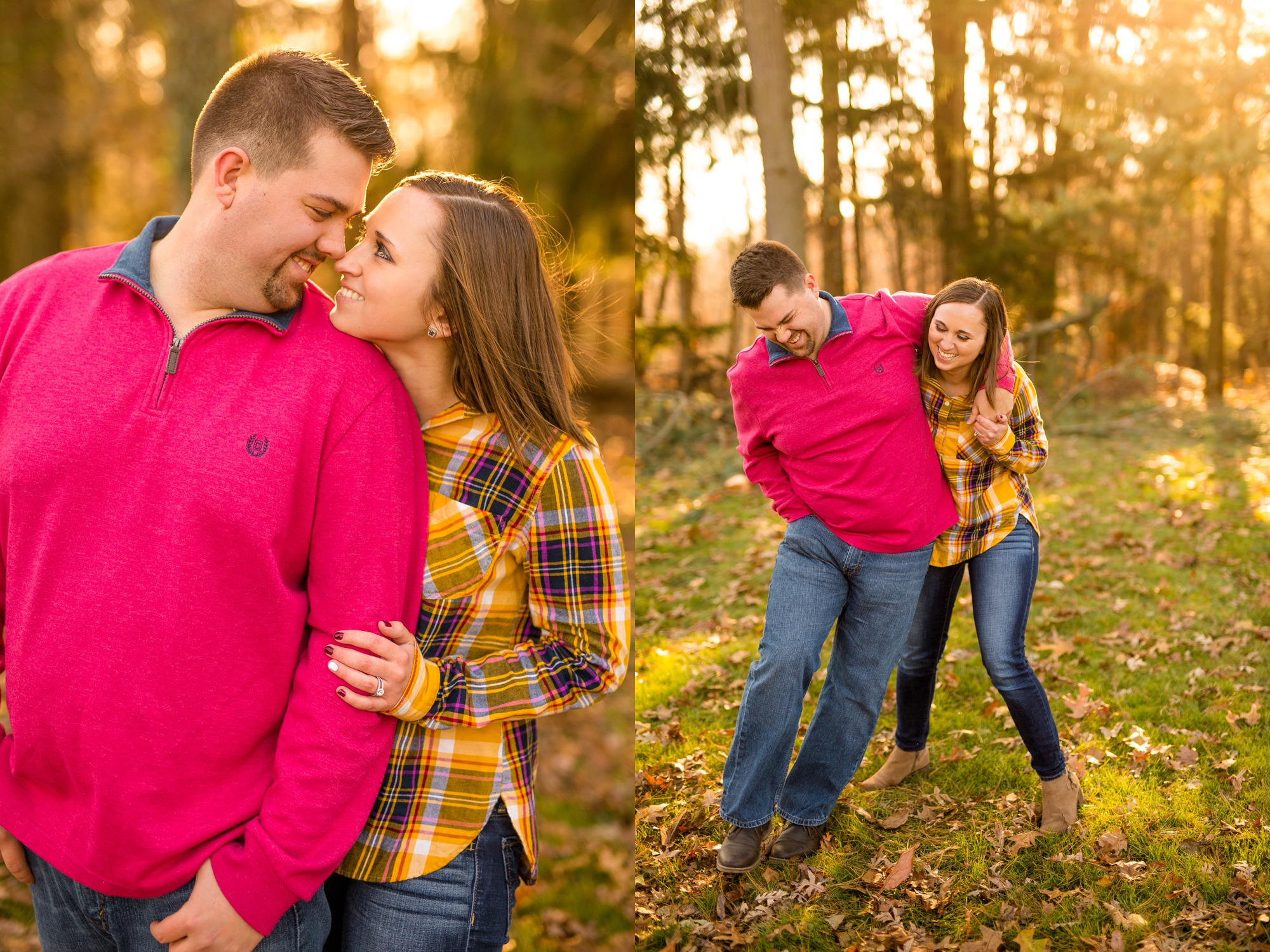 pittsburgh wedding photographer, pittsburgh engagement photos, best spot in pittsburgh for photo shoot, hartwood acres engagement pictures