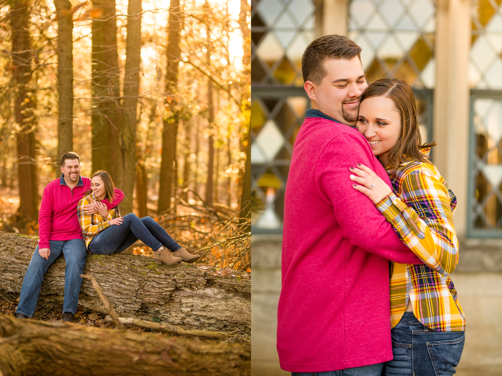 pittsburgh wedding photographer, pittsburgh engagement photos, best spot in pittsburgh for photo shoot, hartwood acres engagement pictures