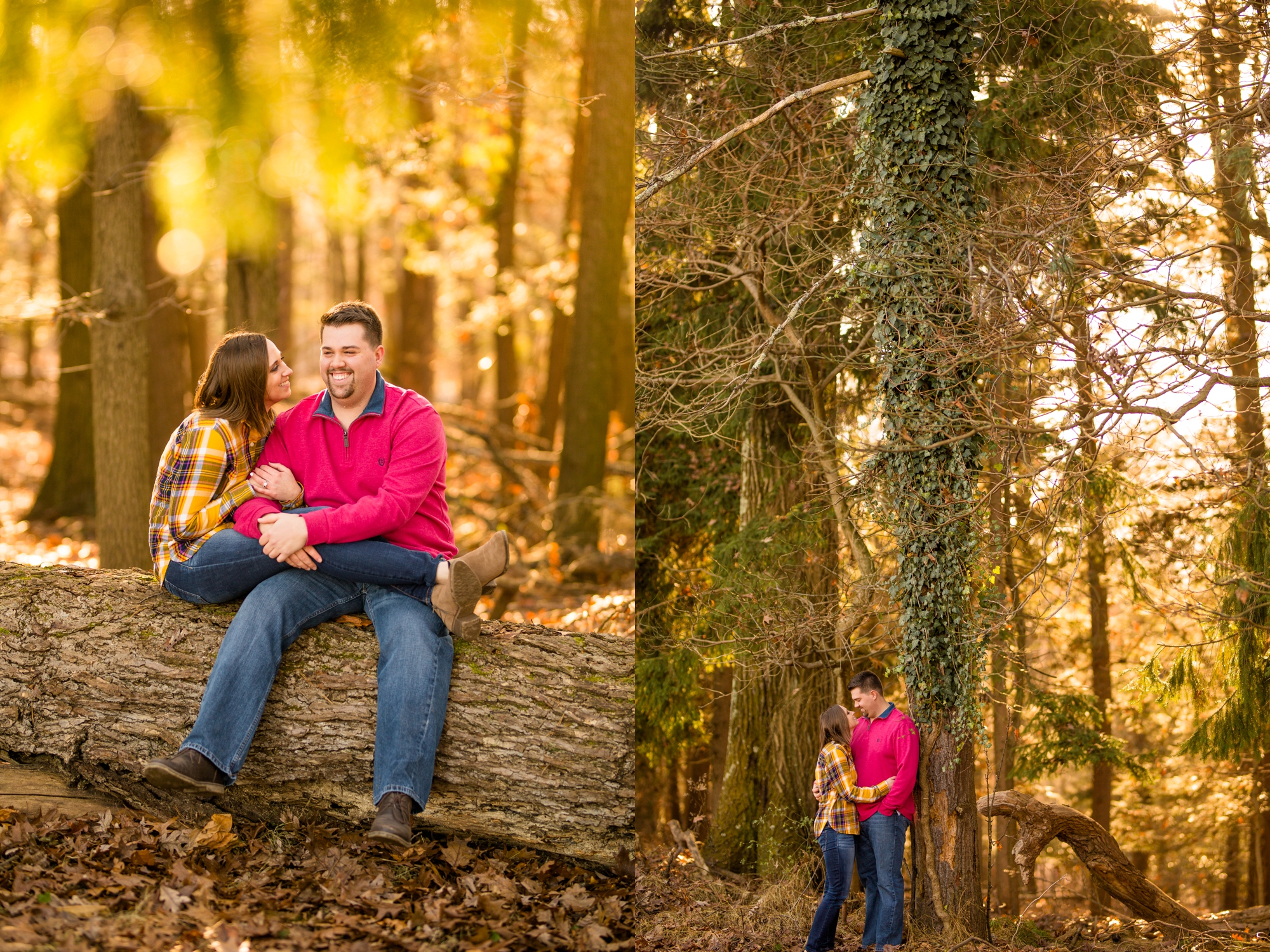 pittsburgh wedding photographer, pittsburgh engagement photos, best spot in pittsburgh for photo shoot, hartwood acres engagement pictures