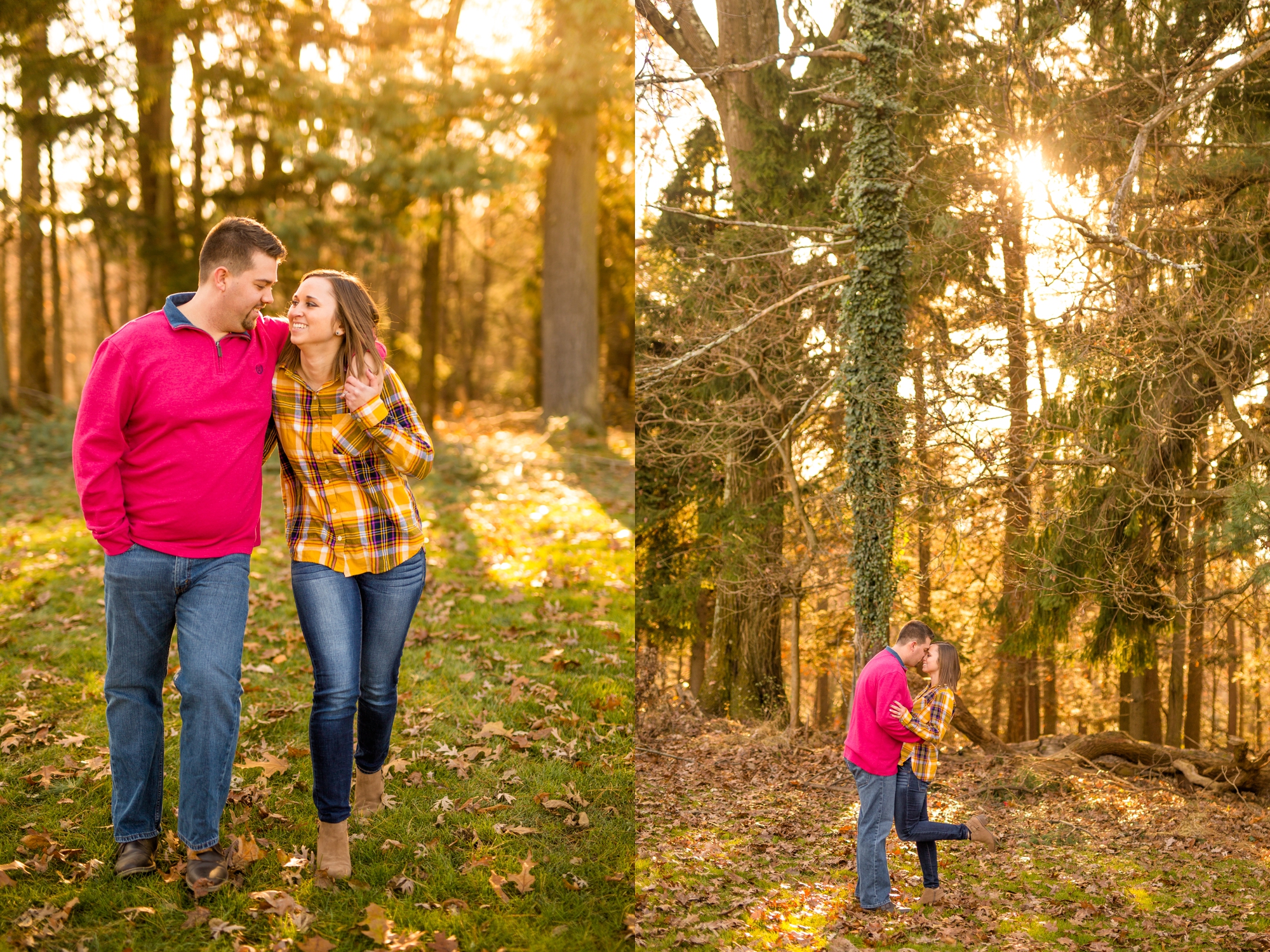 pittsburgh wedding photographer, pittsburgh engagement photos, best spot in pittsburgh for photo shoot, hartwood acres engagement pictures