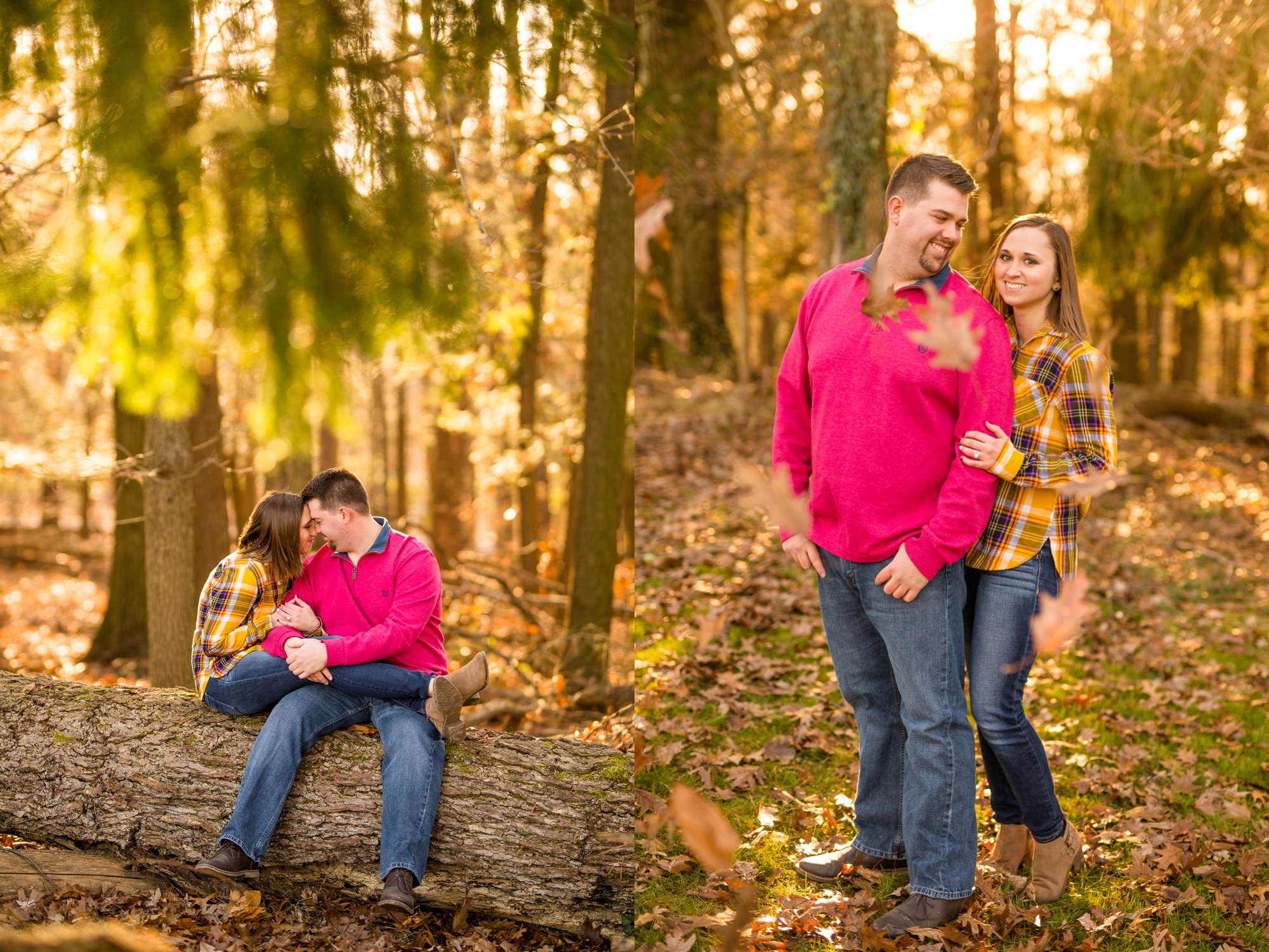 pittsburgh wedding photographer, pittsburgh engagement photos, best spot in pittsburgh for photo shoot, hartwood acres engagement pictures