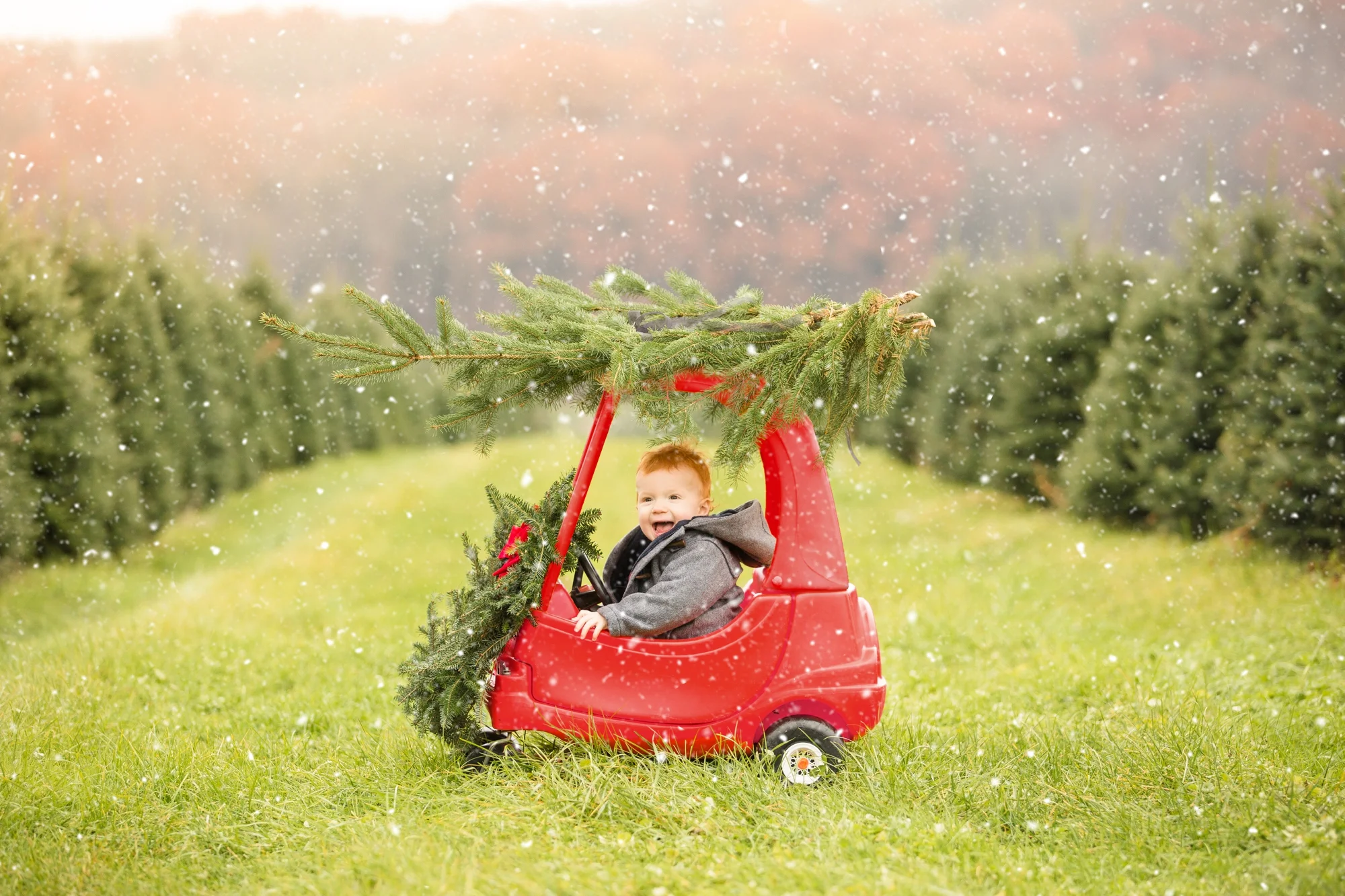 best places to take pictures in pittsburgh, cool places to take pictures in pittsburgh, lake forest gardens, pittsburgh family photographer, christmas tree farm pittsburgh