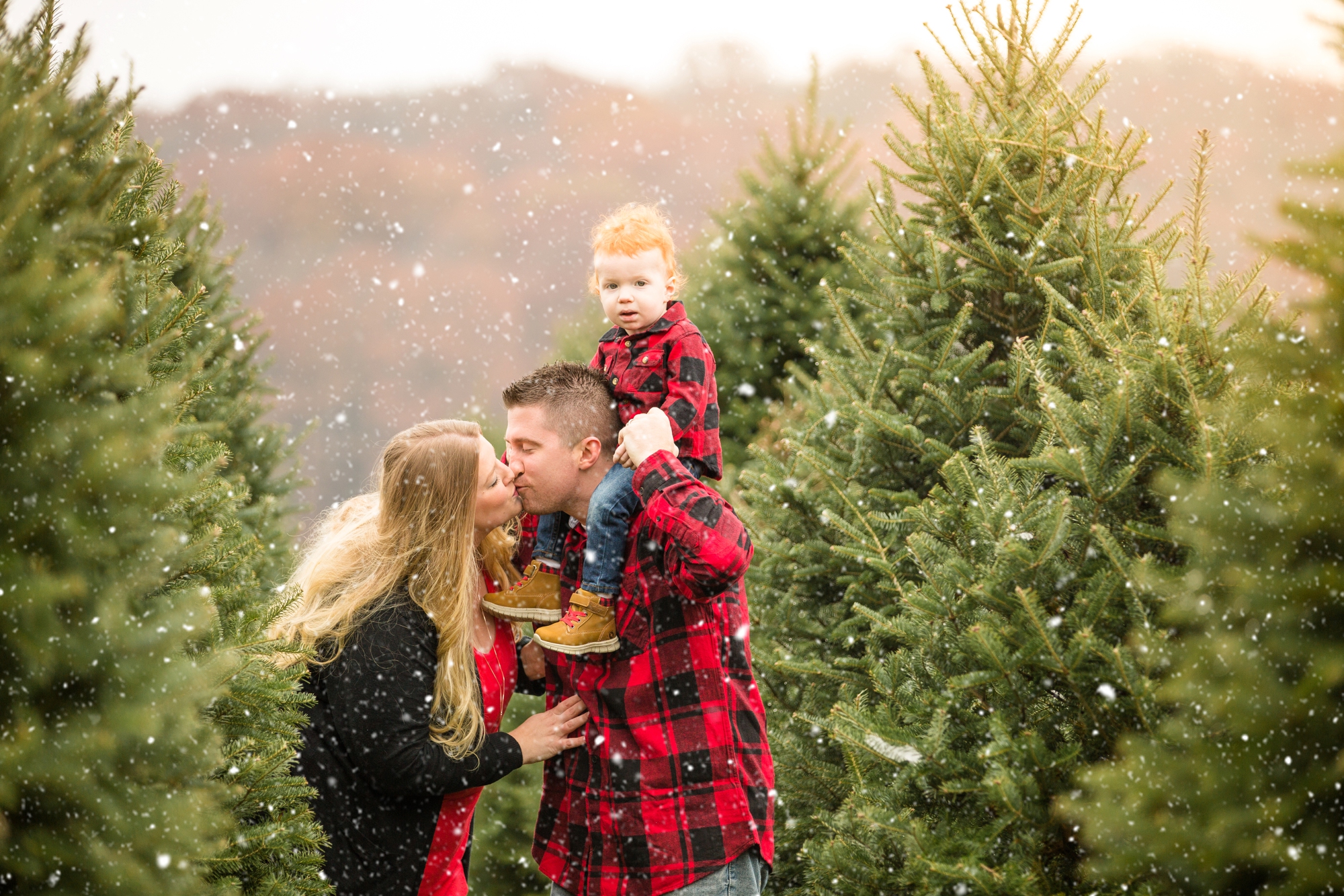 best places to take pictures in pittsburgh, cool places to take pictures in pittsburgh, lake forest gardens, pittsburgh family photographer, christmas tree farm pittsburgh