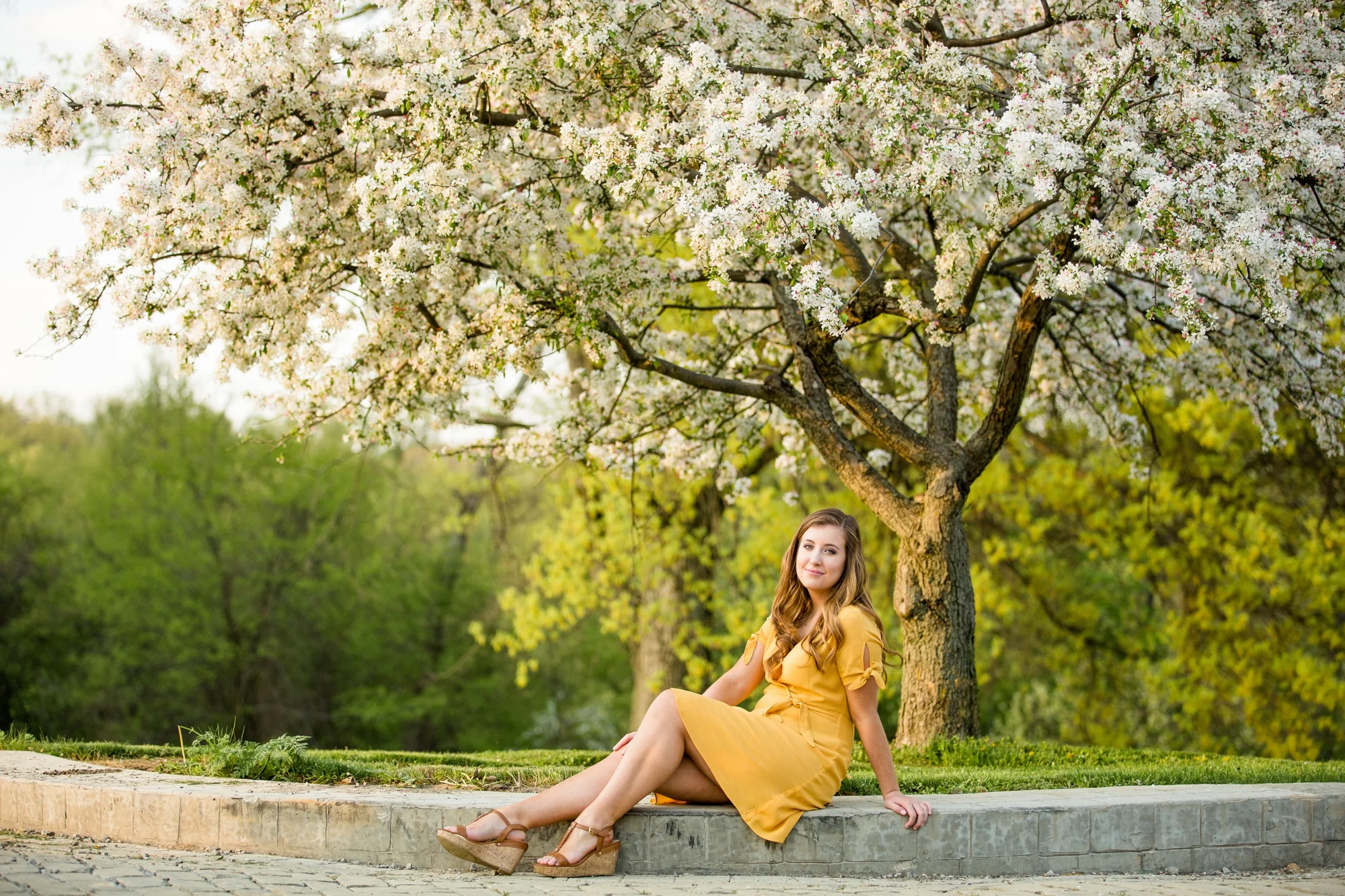 best senior photographer pittsburgh, hartwood acres senior photos, mcconnells mill senior photos, mellon park senior photos, places to take senior pictures in pittsburgh