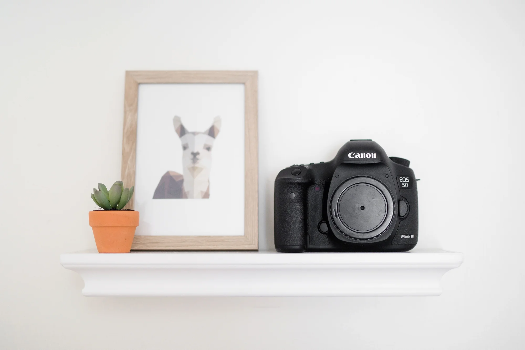 What You Should Know About Wedding Photographers