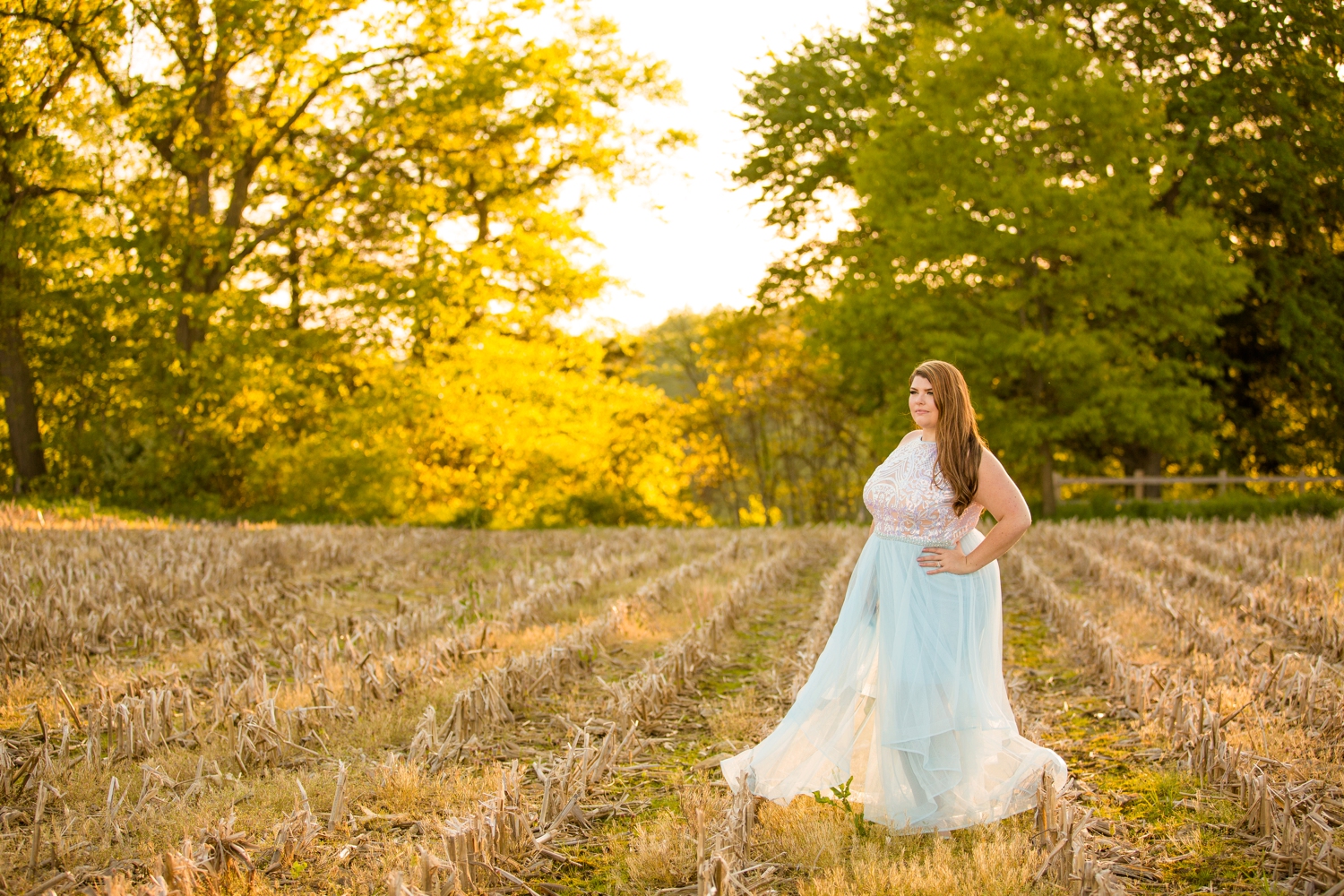 pittsburgh wedding photographer, pittsburgh engagement photographer, mcconnells mill engagement photos, mcconnells mill wedding photos, engagement photo ideas