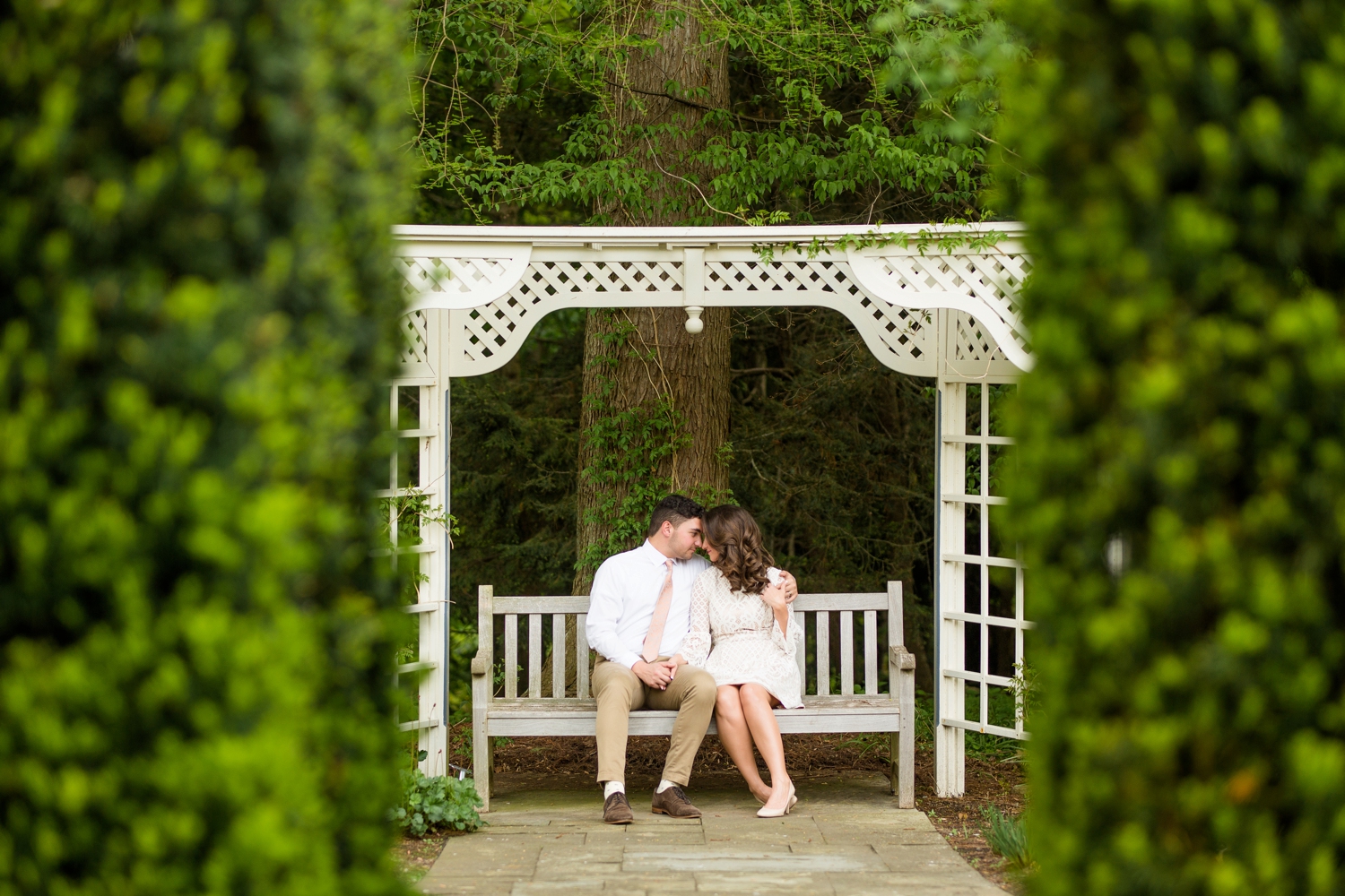 fellows riverside gardens engagement photos, fellows riverside gardens wedding pictures, youngstown ohio wedding photographer, pittsburgh wedding photographer