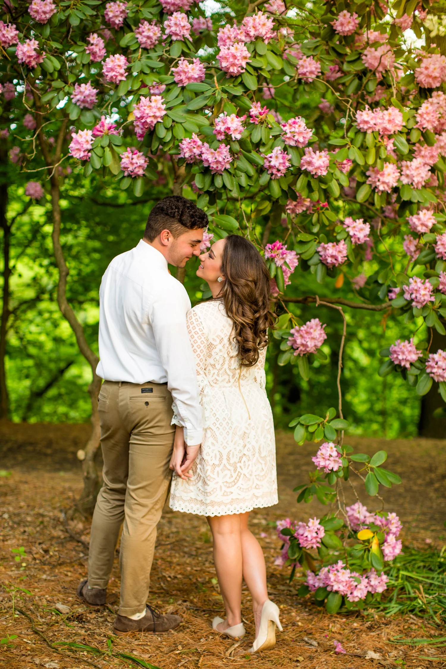 fellows riverside gardens engagement photos, fellows riverside gardens wedding pictures, youngstown ohio wedding photographer, pittsburgh wedding photographer