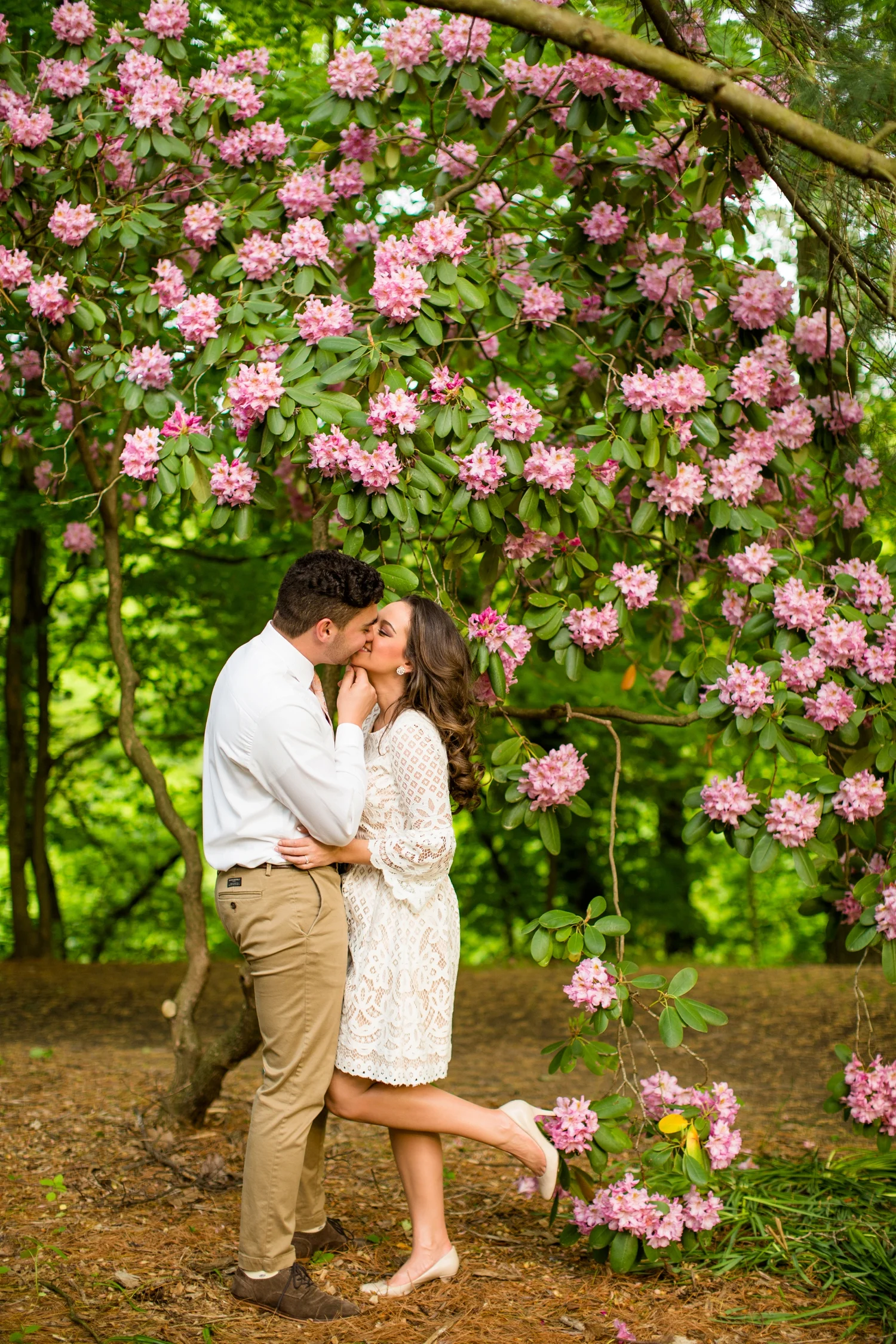 fellows riverside gardens engagement photos, fellows riverside gardens wedding pictures, youngstown ohio wedding photographer, pittsburgh wedding photographer