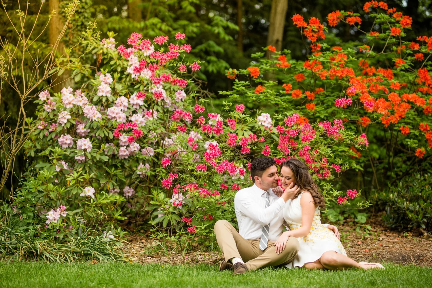 fellows riverside gardens engagement photos, fellows riverside gardens wedding pictures, youngstown ohio wedding photographer, pittsburgh wedding photographer