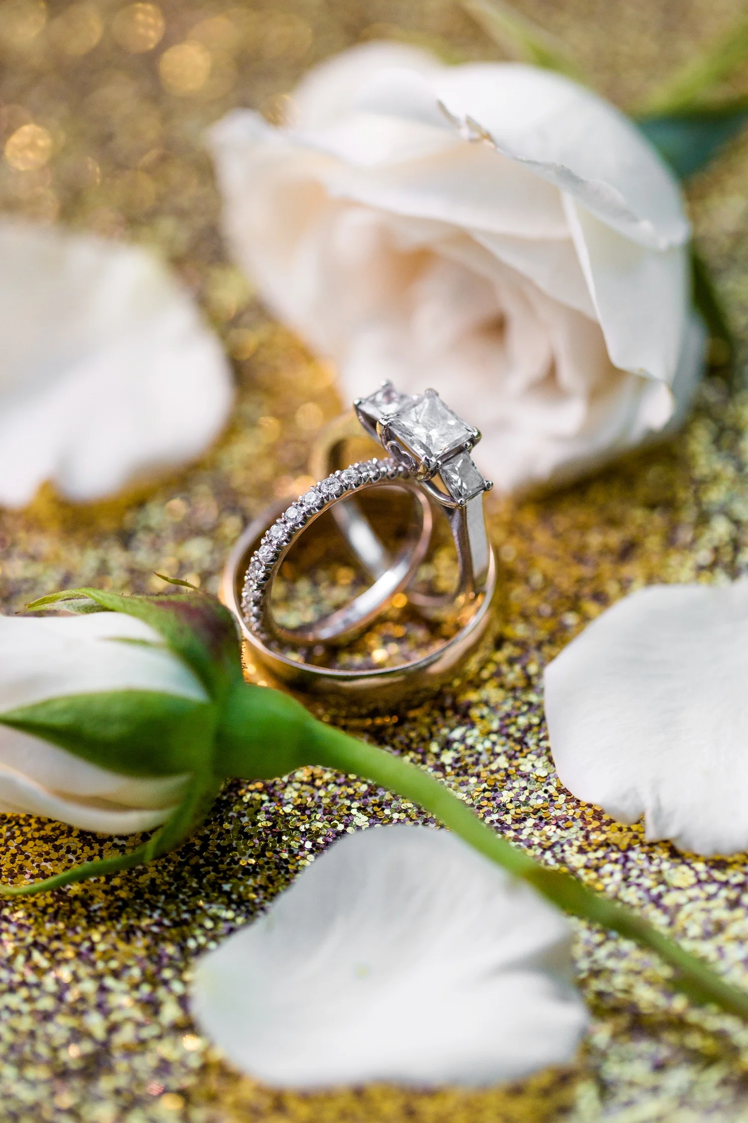 pittsburgh wedding photographer, bella sera wedding photos, pittsburgh wedding venues, pittsburgh wedding photo locations