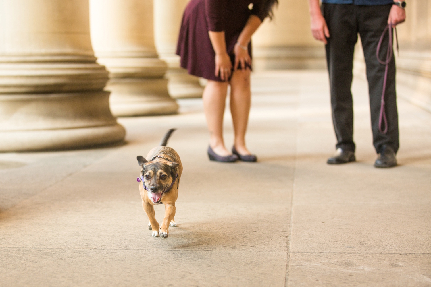 Pittsburgh-Wedding-Photographer-Pittsburgh-Senior-Photographer_3105.jpg