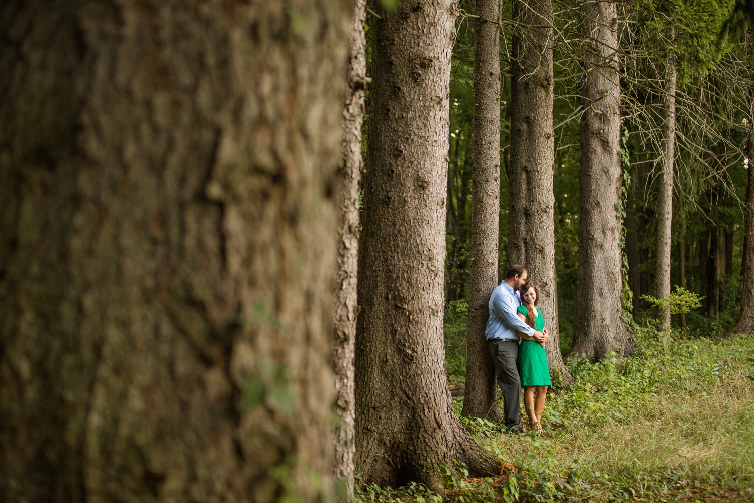 preston park engagement photos, pittsburgh wedding photographers, butler wedding photographer, pittsburgh engagement photographer