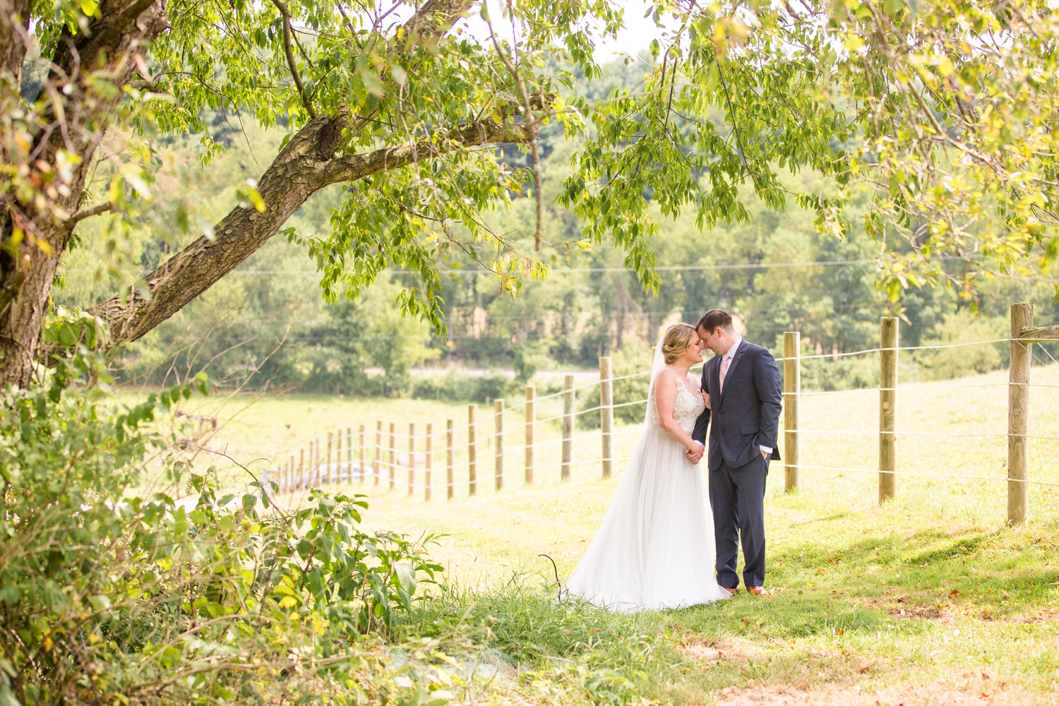 shady elms farm wedding photos, pittsburgh farm wedding venues, pittsburgh wedding photographer, pittsburgh engagement photographer