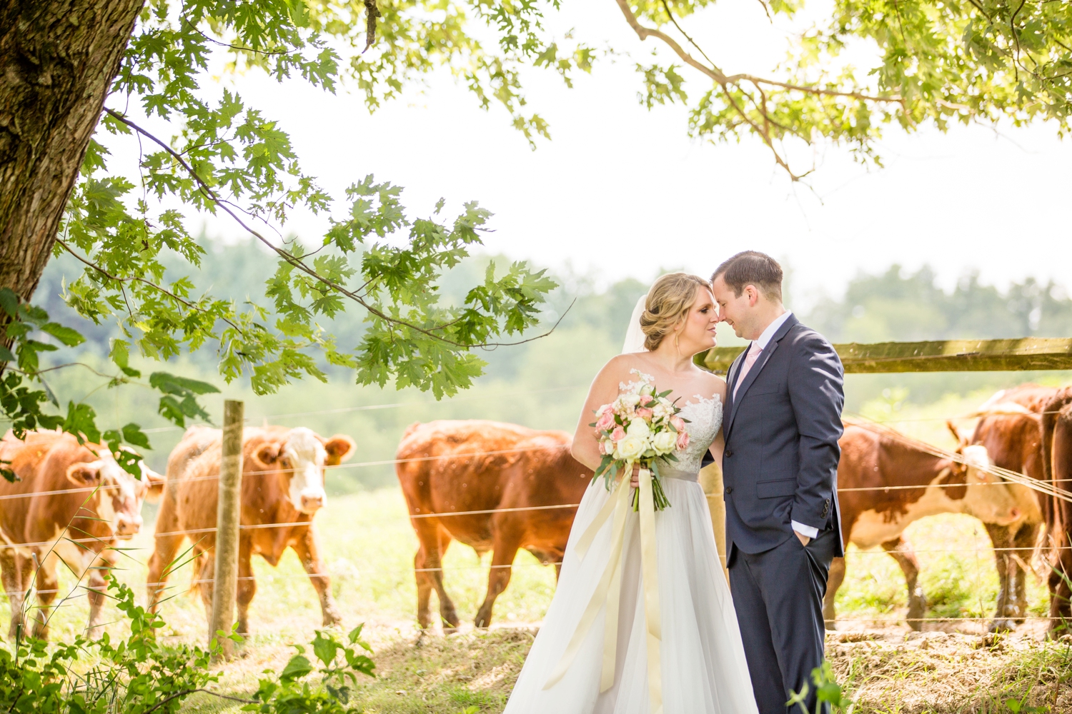 shady elms farm wedding photos, pittsburgh farm wedding venues, pittsburgh wedding photographer, pittsburgh engagement photographer