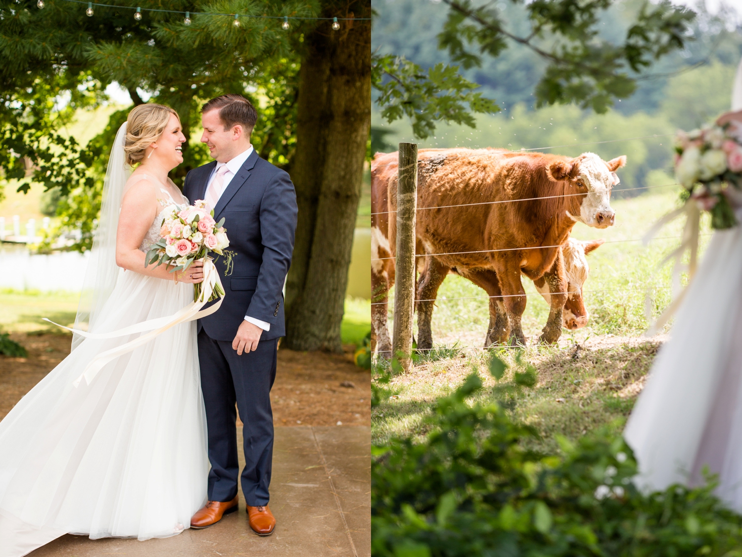 shady elms farm wedding photos, pittsburgh farm wedding venues, pittsburgh wedding photographer, pittsburgh engagement photographer