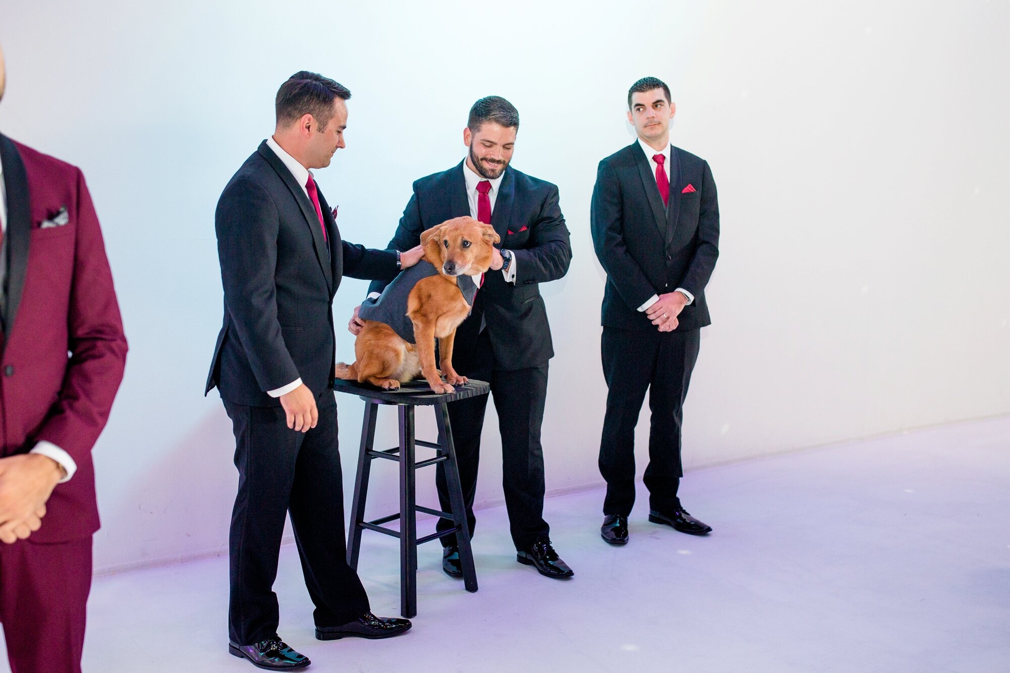 pittsburgh wedding photographer, mellon institute wedding pictures, j verno studios wedding photos, pittsburgh wedding venues