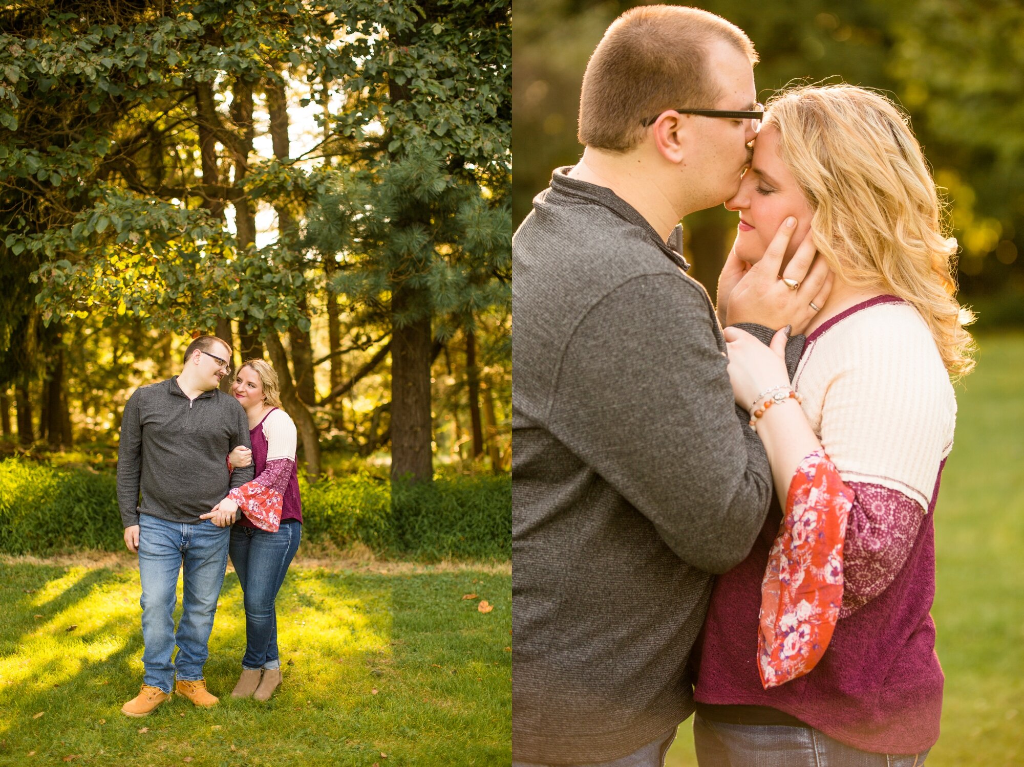 hartwood acres engagement photos, pittsburgh wedding photographer, pittsburgh engagement photographer, pittsburgh proposal photographer