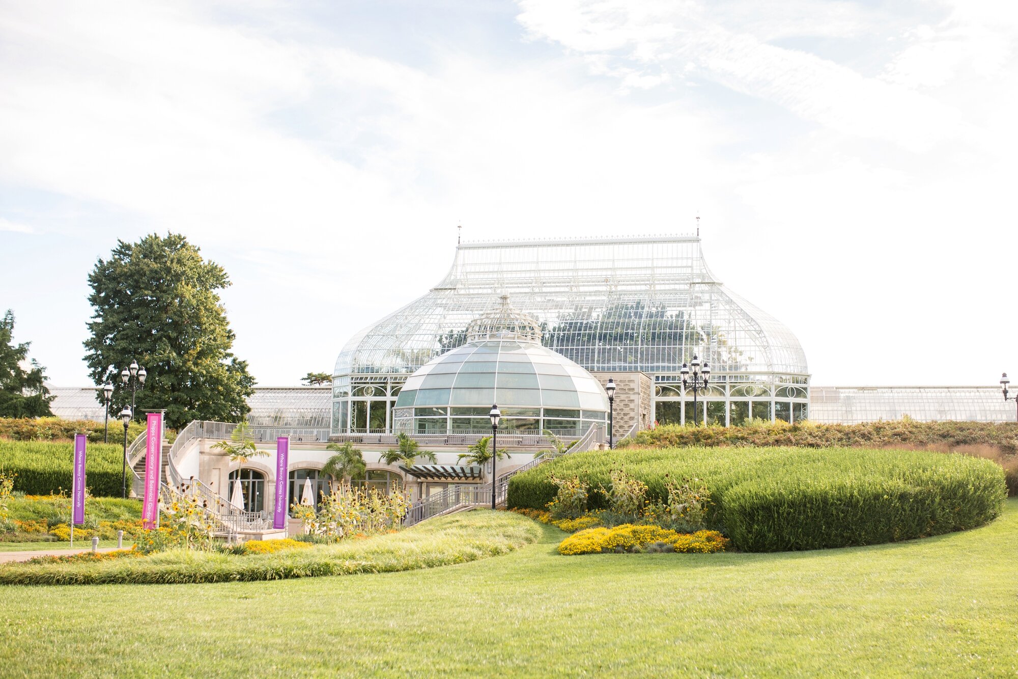 pittsburgh wedding photographer, phipps conservatory wedding photos, broderie room phipps wedding pictures, pittsburgh wedding venues