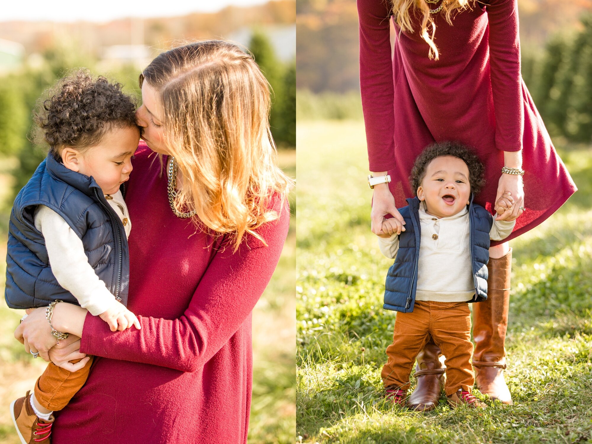 pittsburgh family photographer, lake forest gardens fombell, christmas tree farm photo mini sessions pittsburgh, mini photo sessions pittsburgh, 