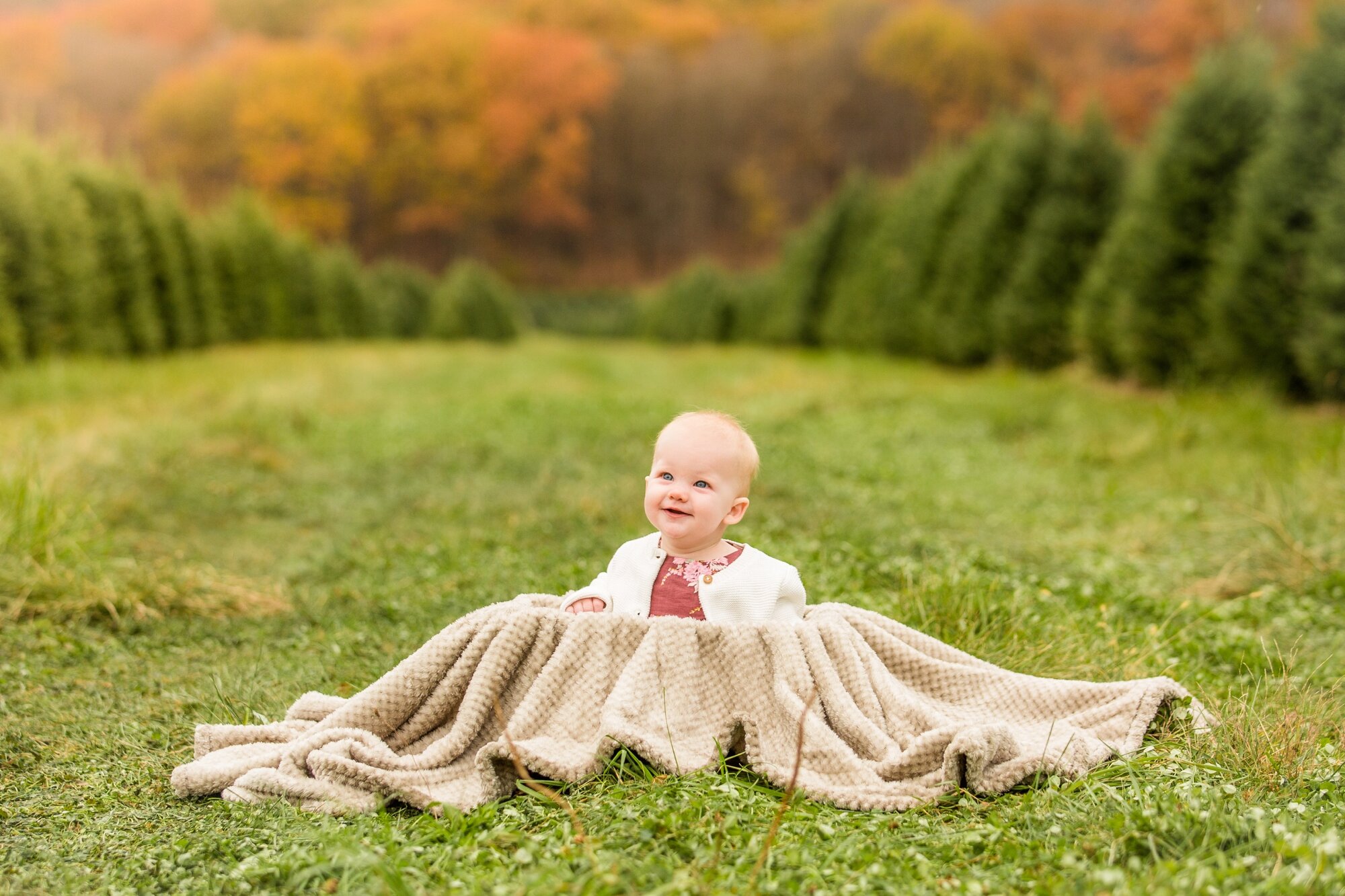 pittsburgh family photographer, lake forest gardens fombell, christmas tree farm photo mini sessions pittsburgh, mini photo sessions pittsburgh, 