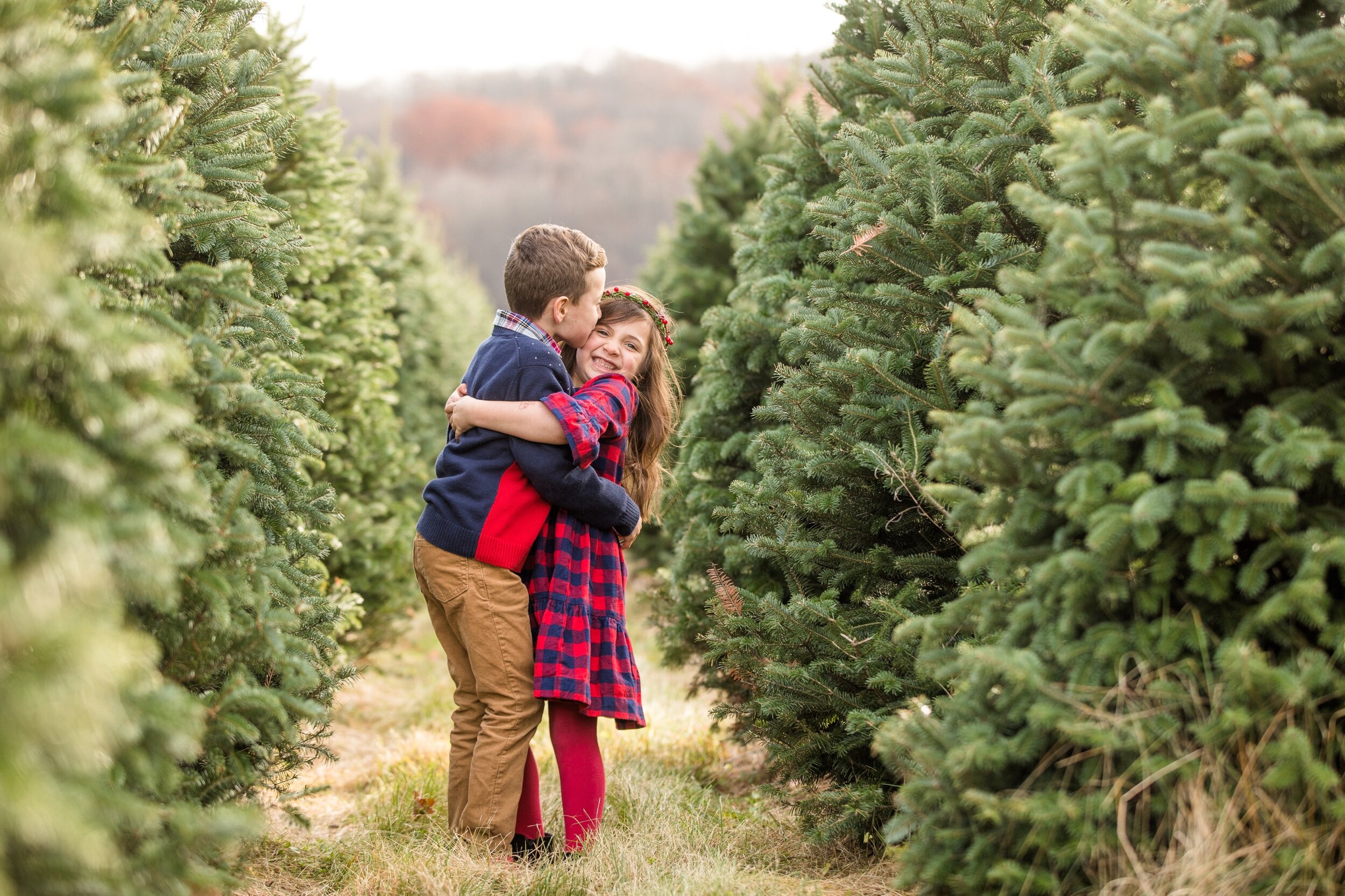 christmas mini sessions pittsburgh, christmas tree farm mini sessions pittsburgh, fall mini sessions pittsburgh, zelienople family photographer, lake forest gardens fombell pa