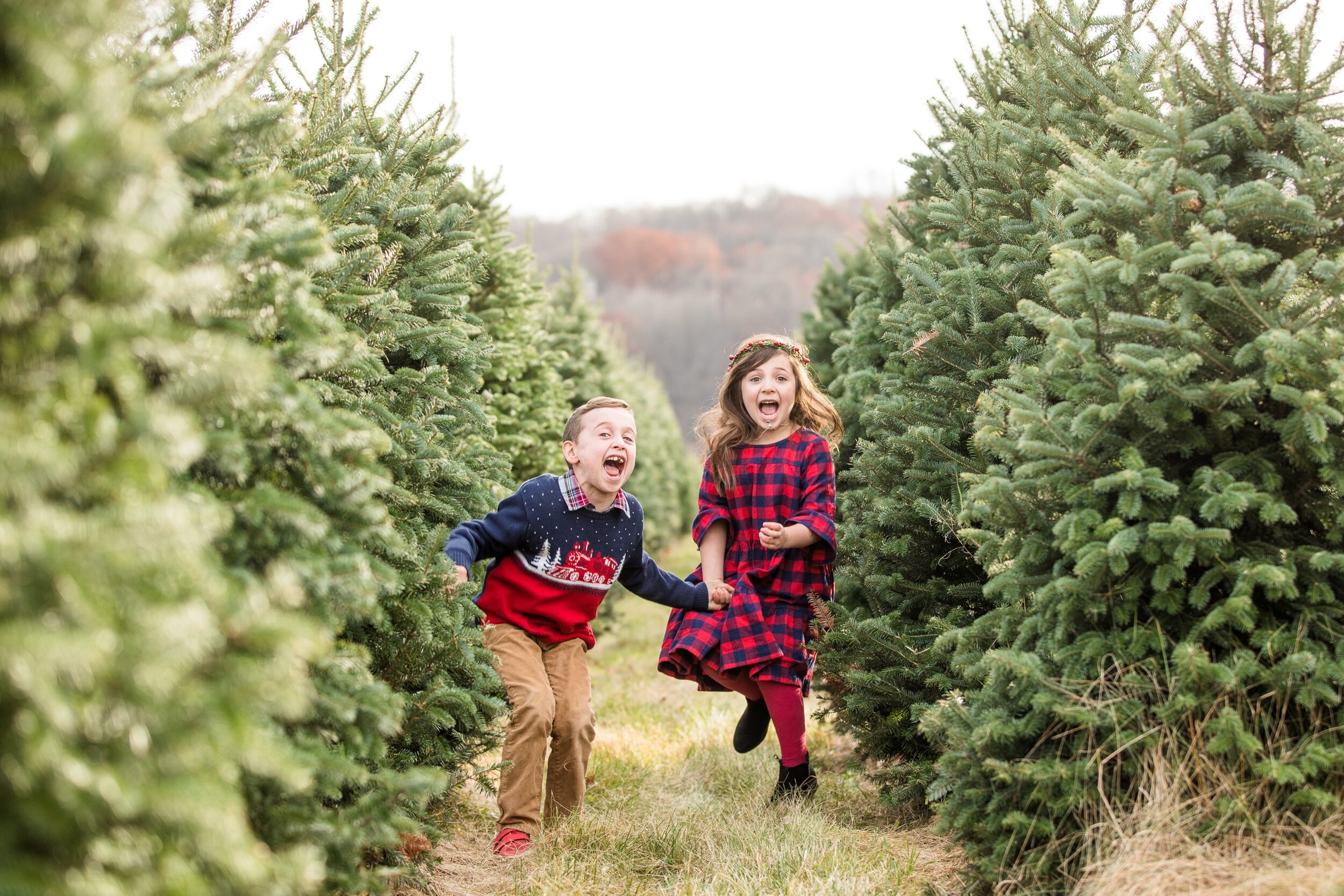 christmas mini sessions pittsburgh, christmas tree farm mini sessions pittsburgh, fall mini sessions pittsburgh, zelienople family photographer, lake forest gardens fombell pa