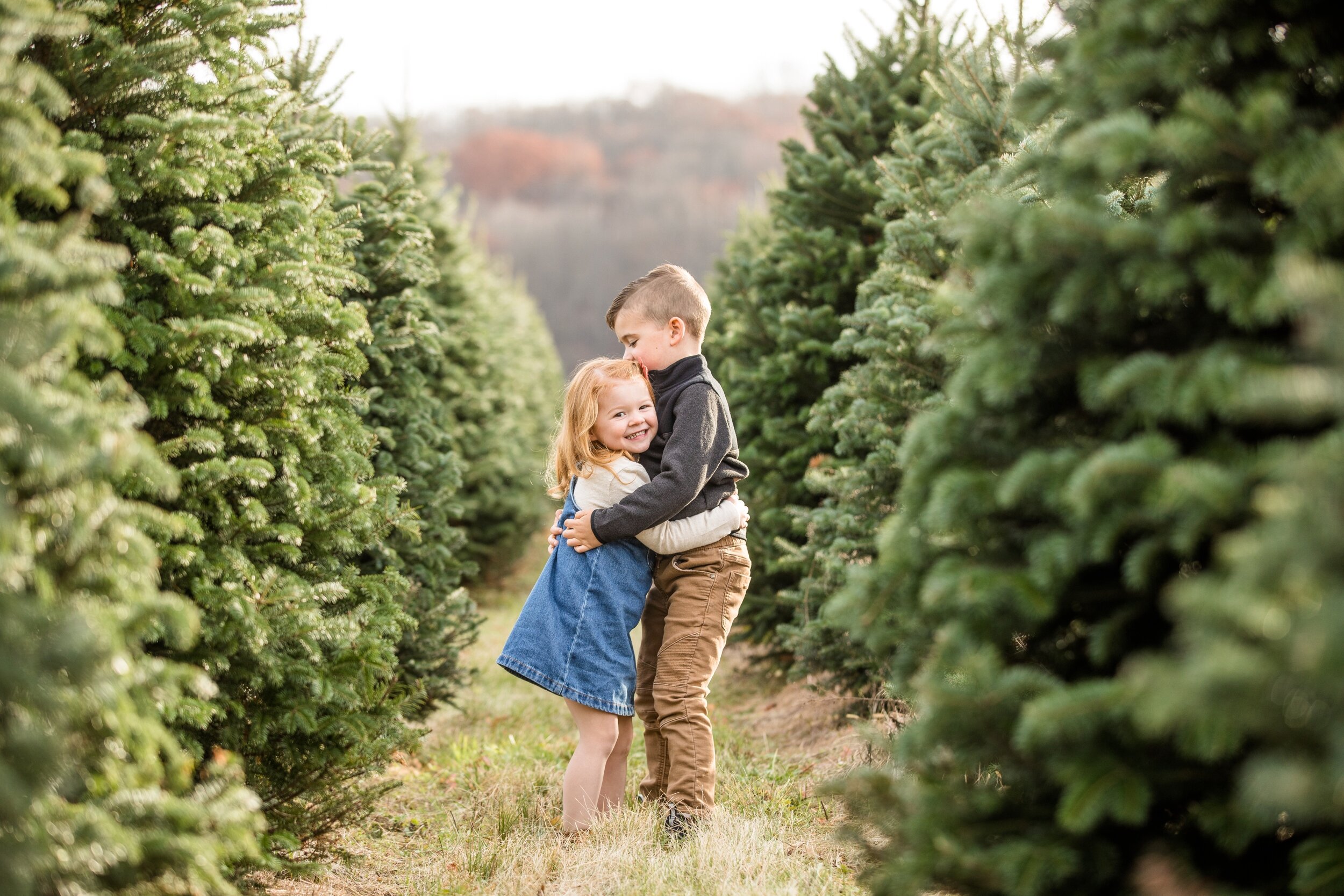 christmas mini sessions pittsburgh, christmas tree farm mini sessions pittsburgh, fall mini sessions pittsburgh, zelienople family photographer, lake forest gardens fombell pa