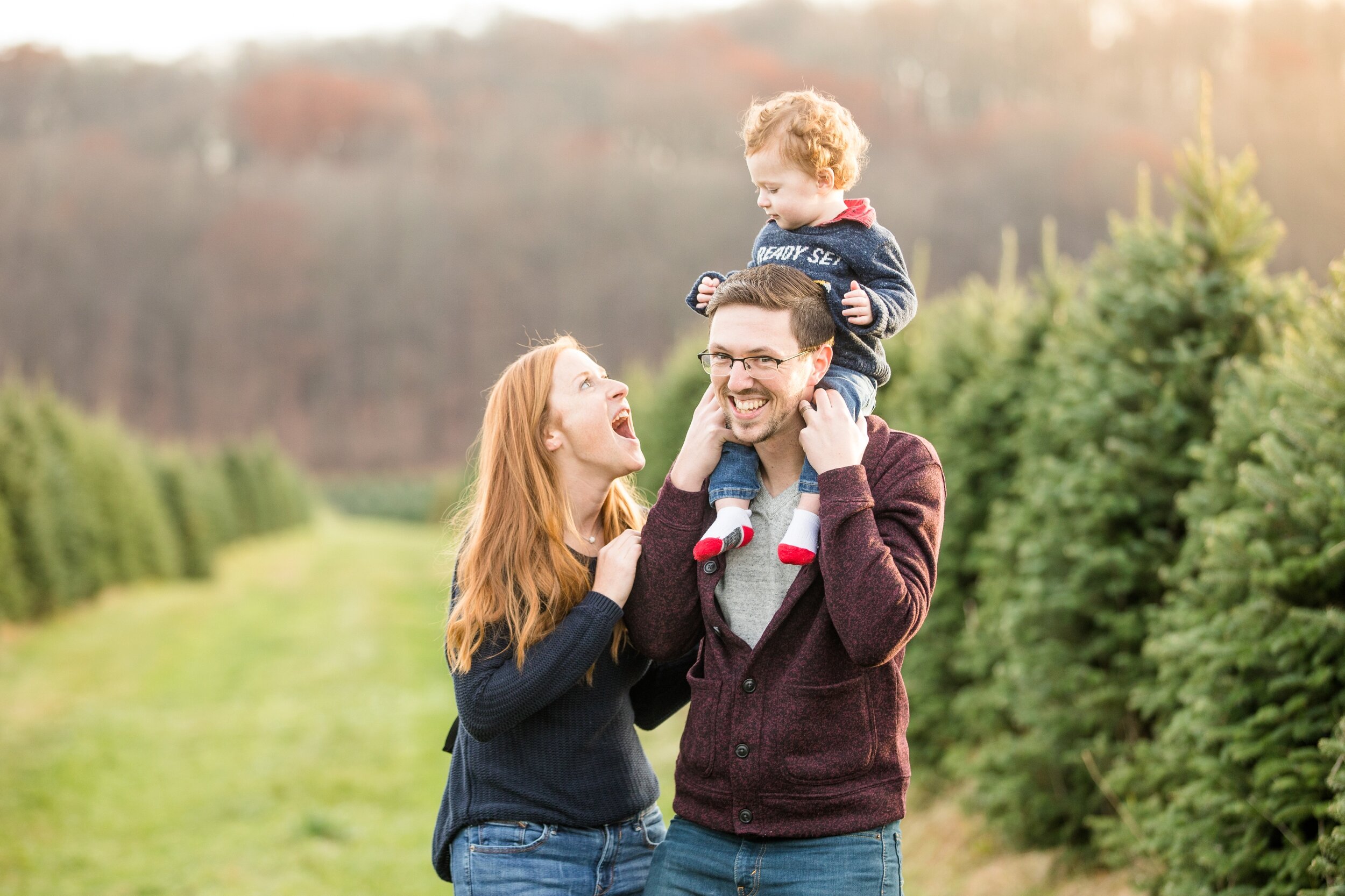 christmas mini sessions pittsburgh, christmas tree farm mini sessions pittsburgh, fall mini sessions pittsburgh, zelienople family photographer, lake forest gardens fombell pa