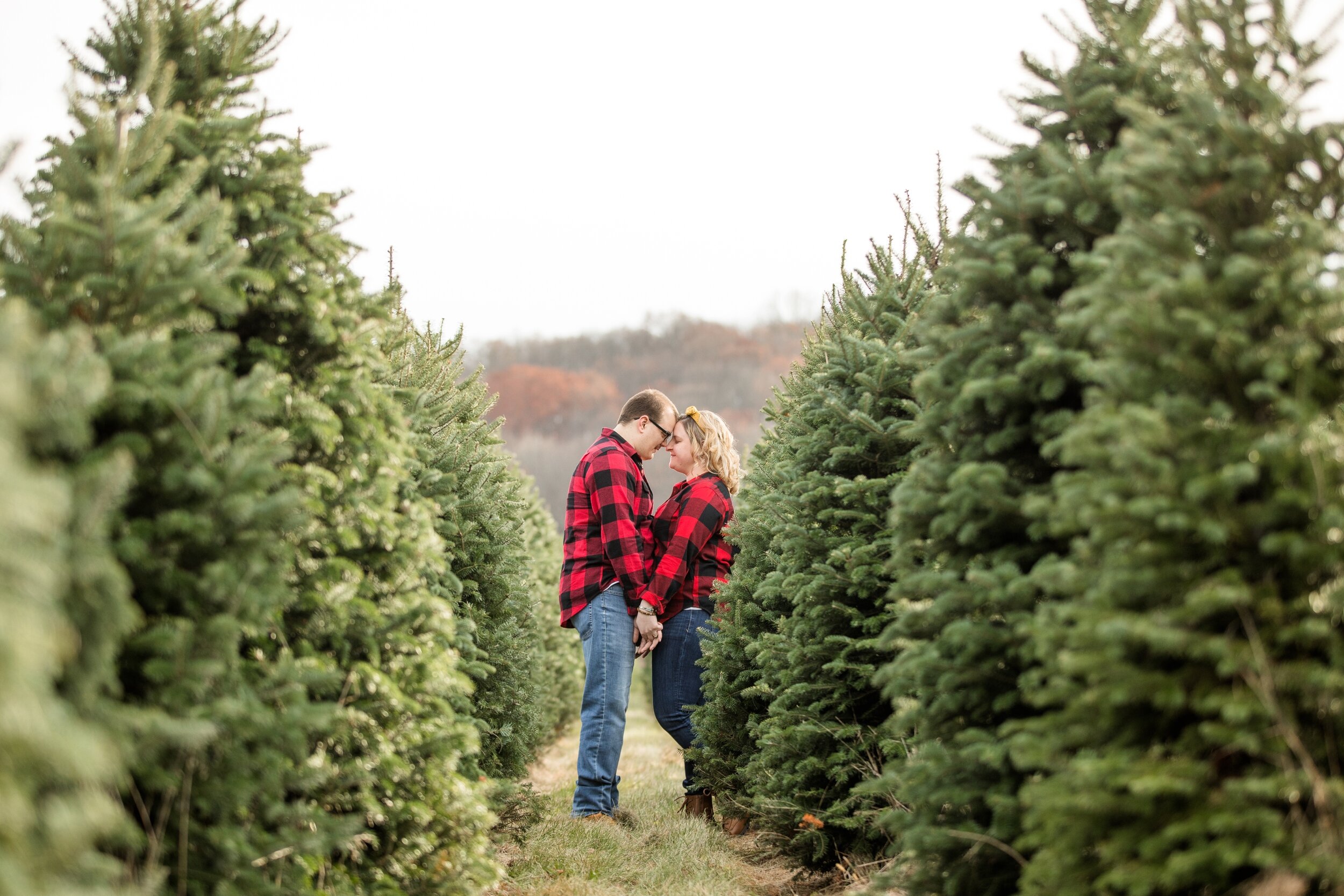 christmas mini sessions pittsburgh, christmas tree farm mini sessions pittsburgh, fall mini sessions pittsburgh, zelienople family photographer, lake forest gardens fombell pa