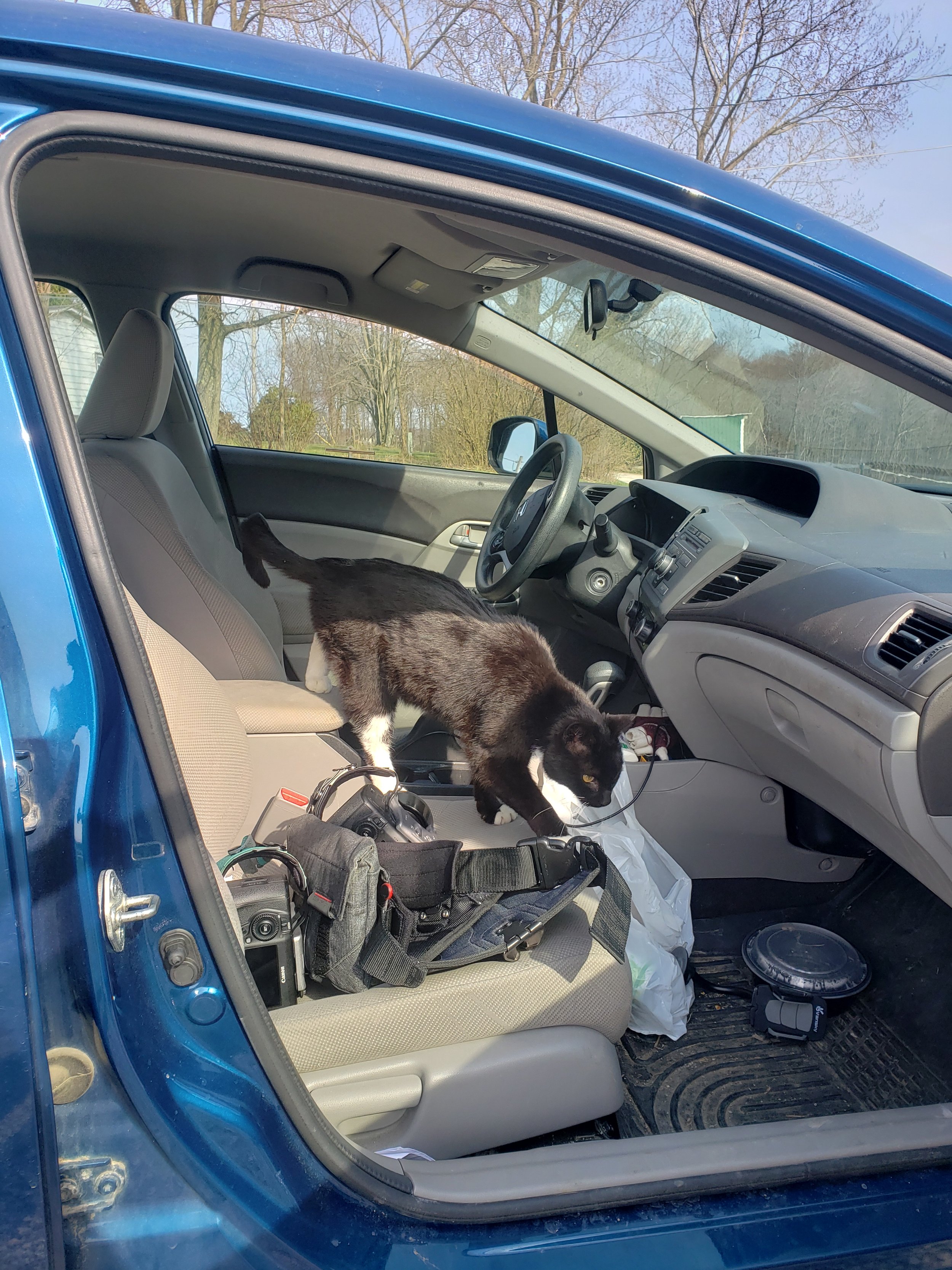 That one time a cat tried to make their getaway in our car during a shoot!