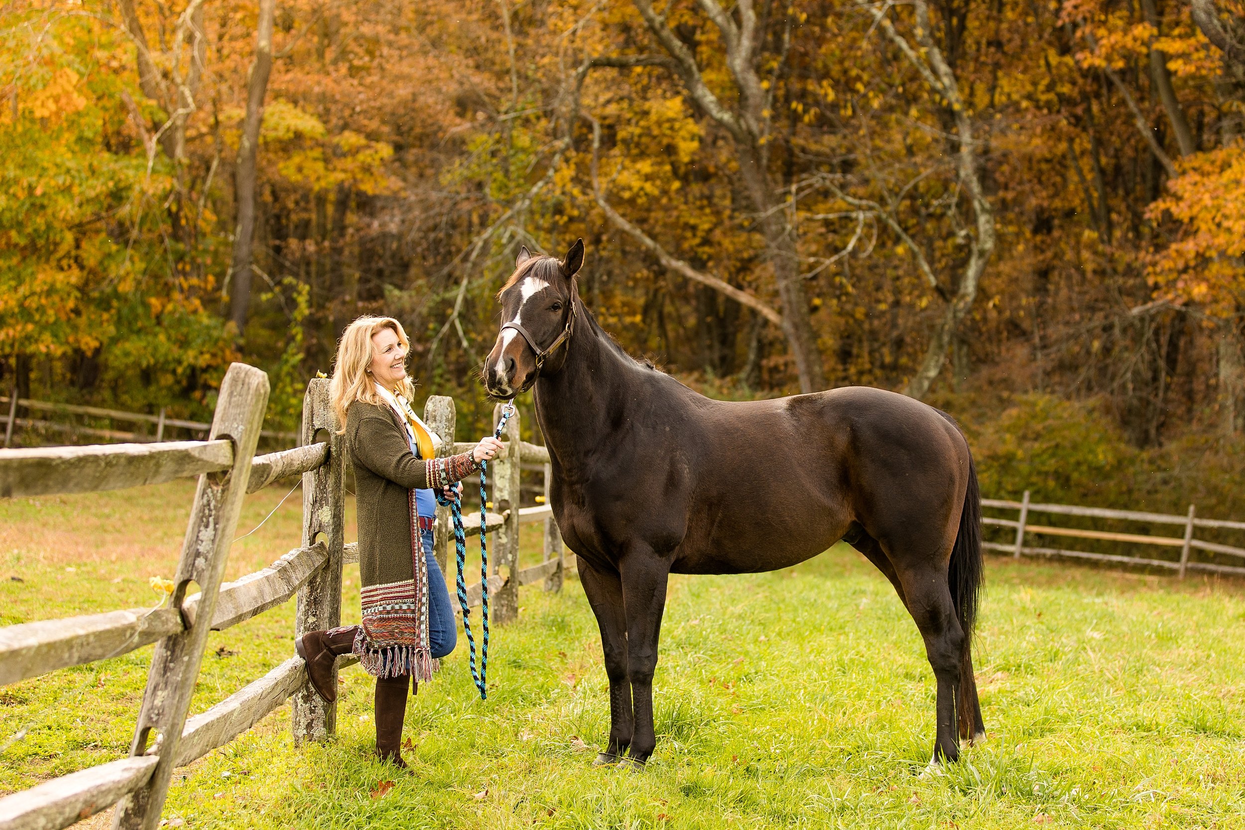 valencia equestrian photographer, appleworks farm in valencia, equestrian photographer cranberry township, equestrian photographer butler, valencia family photographer