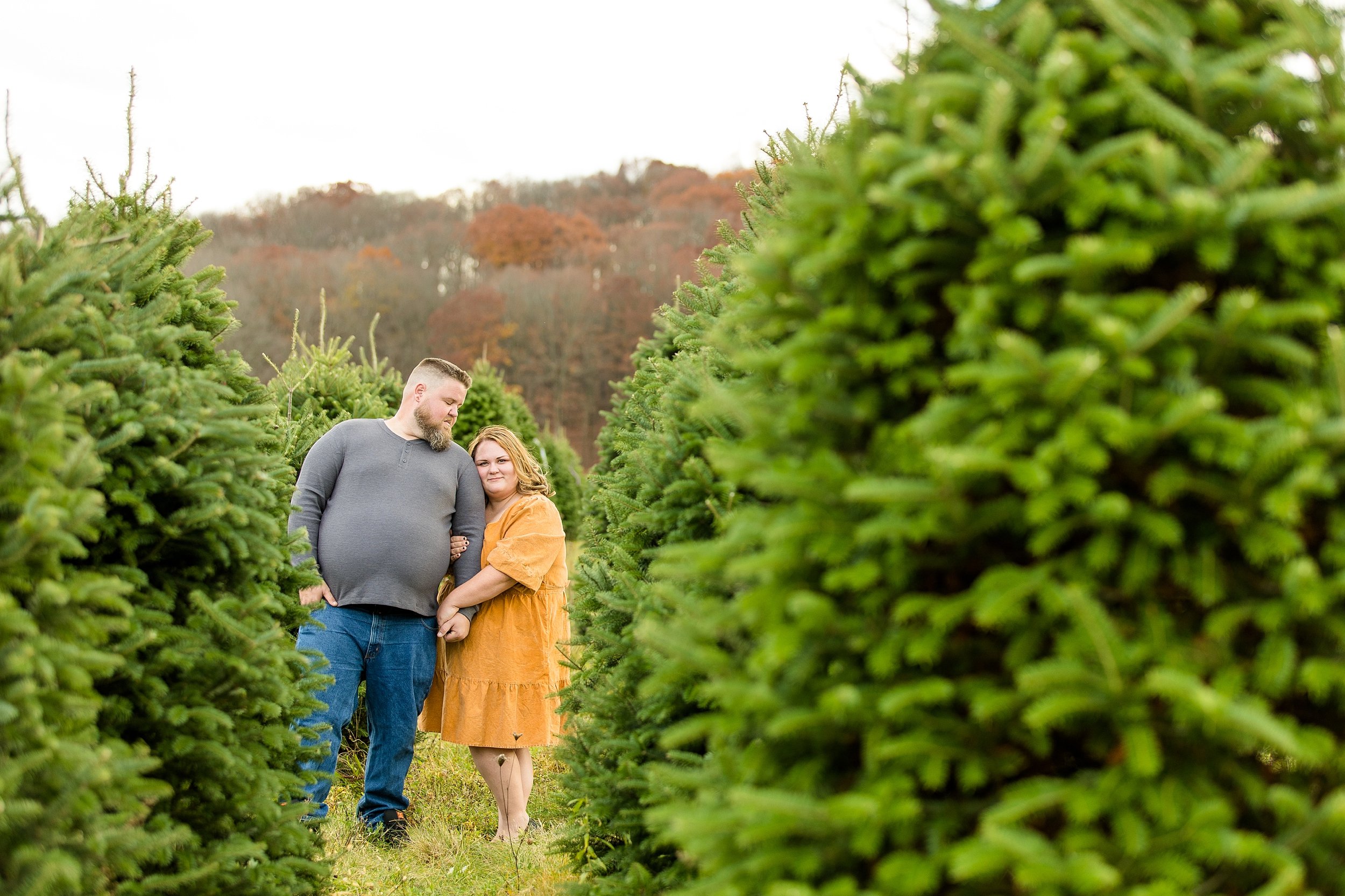 pittsburgh christmas mini sessions, christmas tree farm mini sessions pittsburgh, holiday mini sessions pittsburgh, pittsburgh family photographer