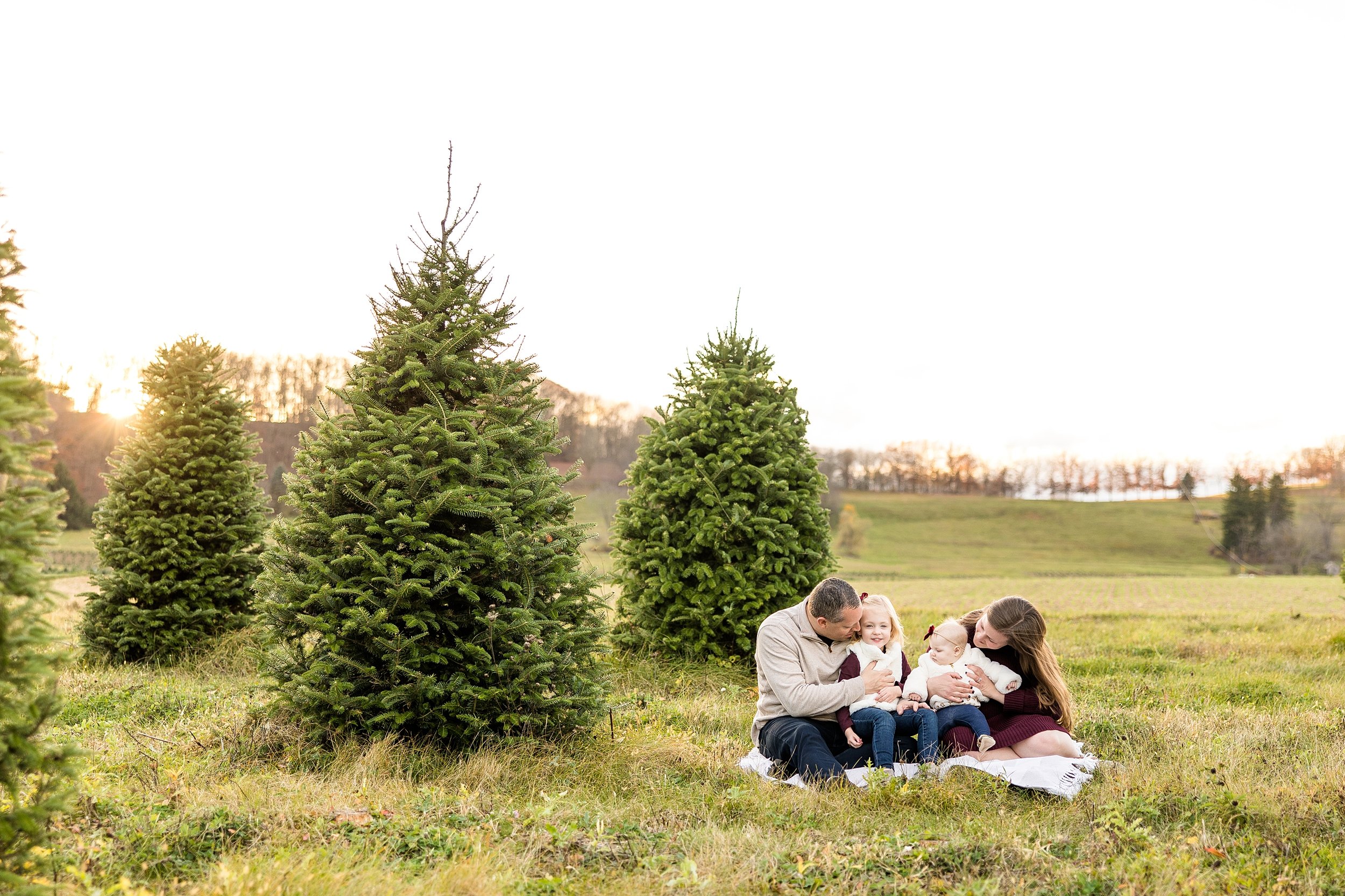 pittsburgh christmas mini sessions, christmas tree farm mini sessions pittsburgh, holiday mini sessions pittsburgh, pittsburgh family photographer