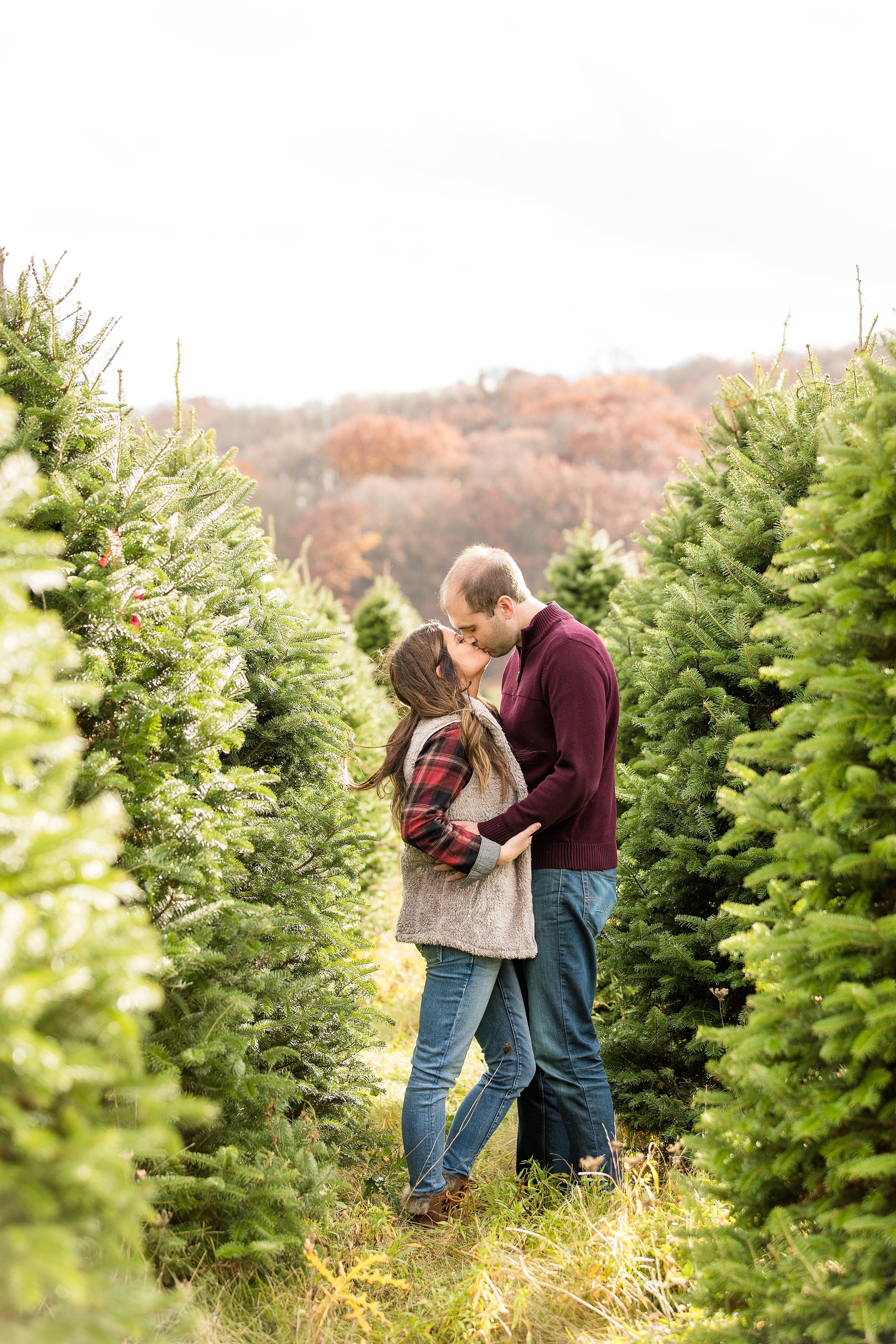 pittsburgh christmas mini sessions, christmas tree farm mini sessions pittsburgh, holiday mini sessions pittsburgh, pittsburgh family photographer