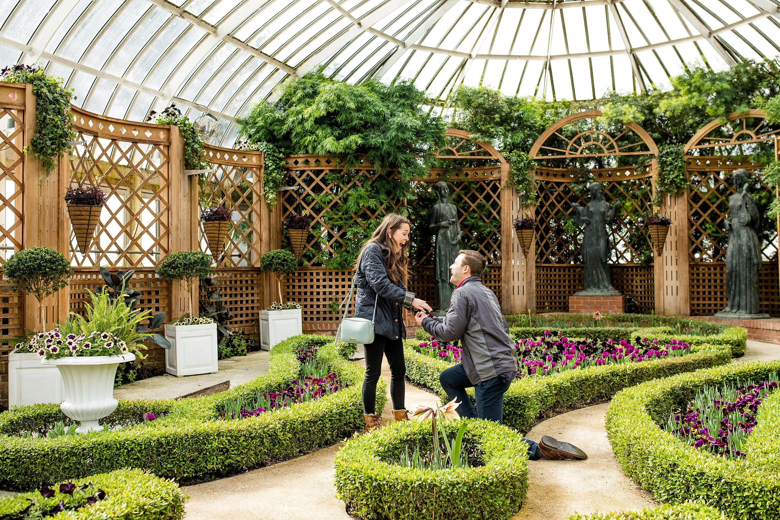  I love the joy, shock, and excitement that comes during proposals. This Phipp’s Conservatory proposal was such a highlight! 