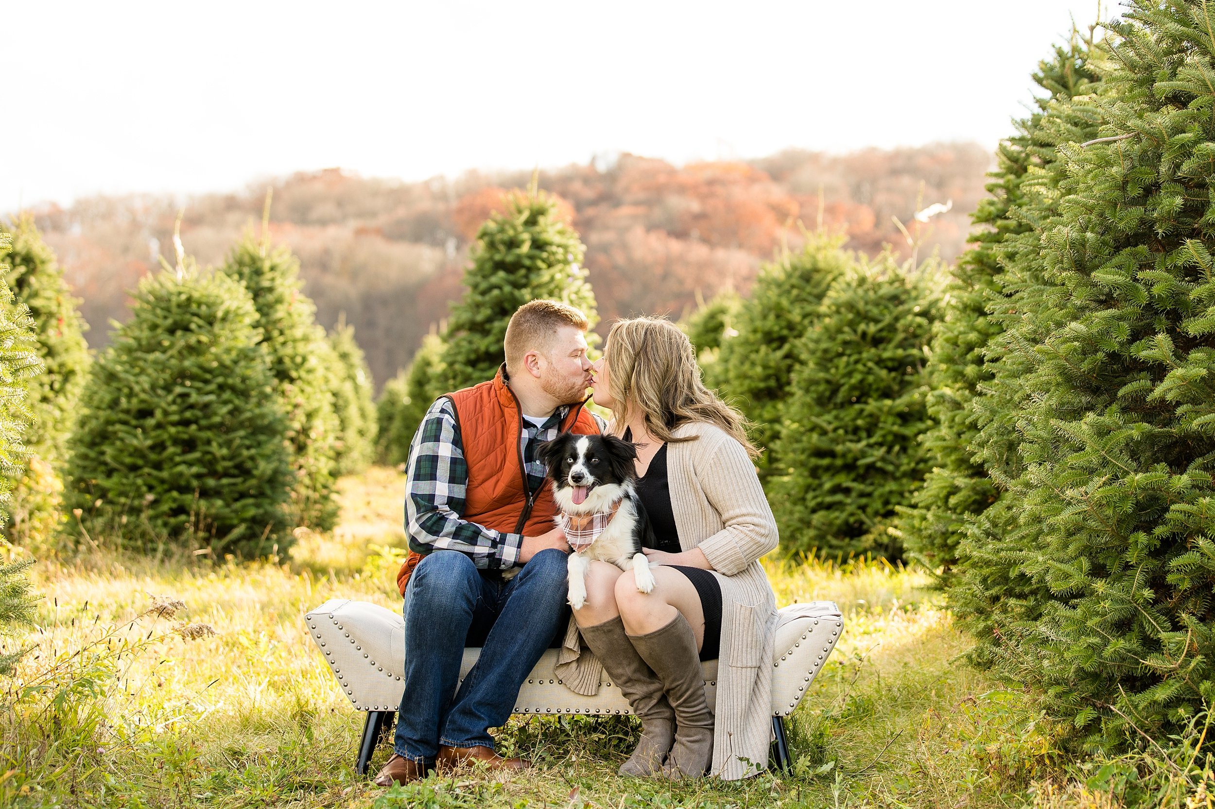 pittsburgh family photographer, zelienople family photographer, cranberry township family photographer, mars family photographer, wexford family photographer