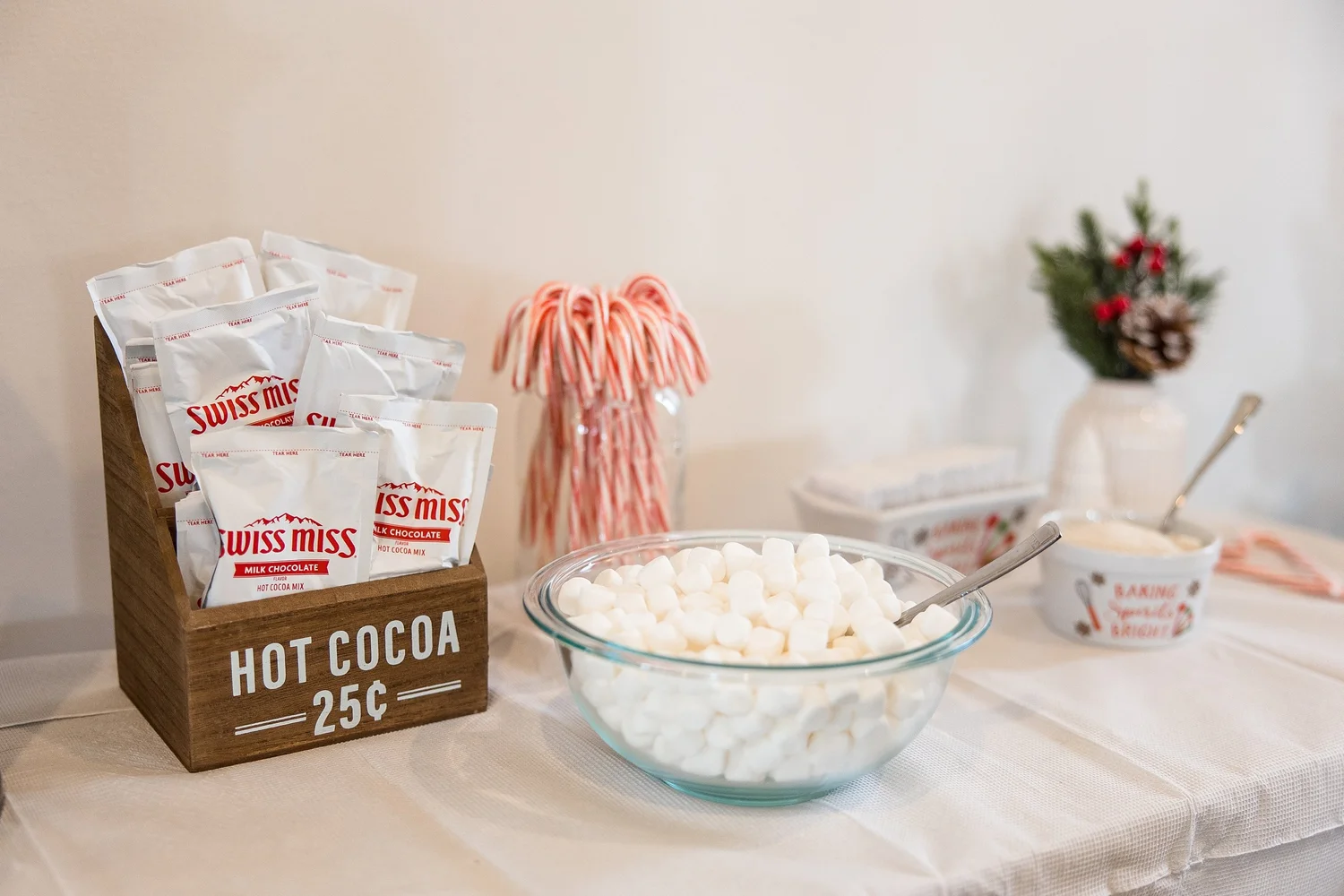 Christmas Themed Baby Shower — Jenna Hidinger Photography