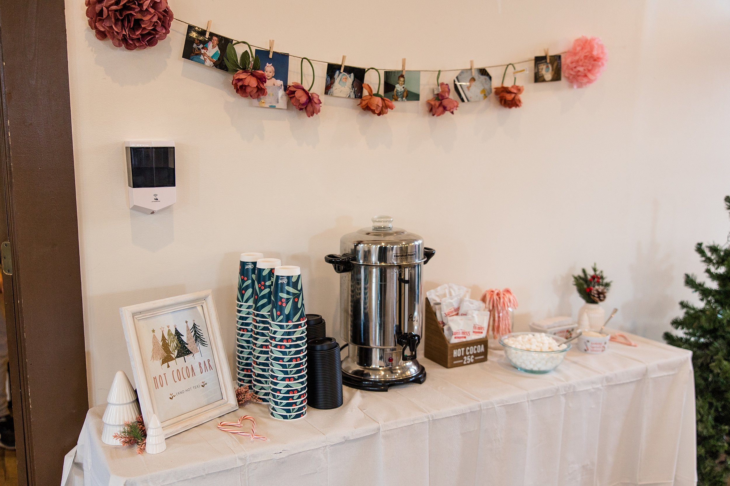 Christmas Themed Baby Shower — Jenna Hidinger Photography