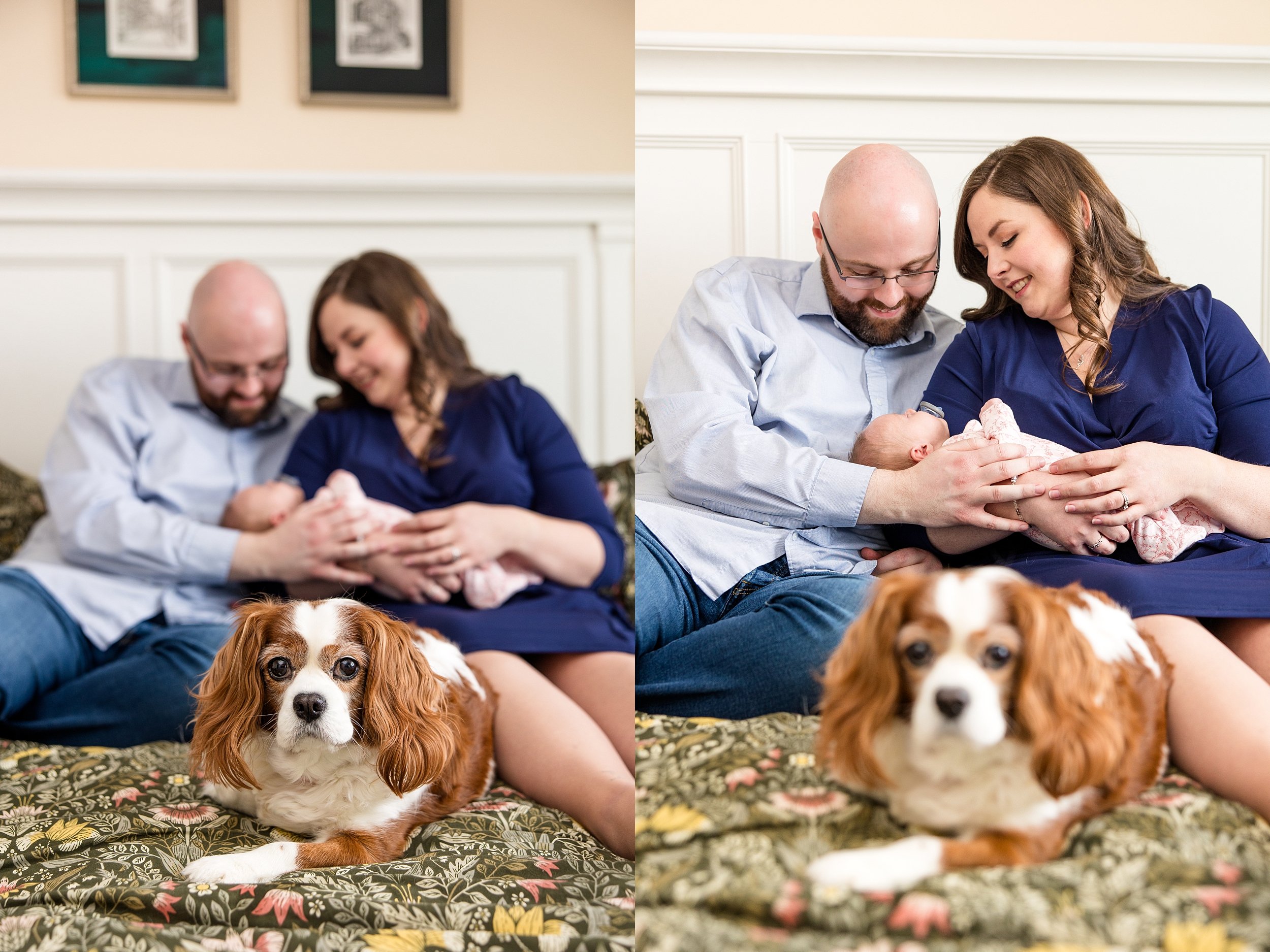 pittsburgh newborn photographer, in home newborn lifestyle family photos, zelienople photographer, cranberry township photographer