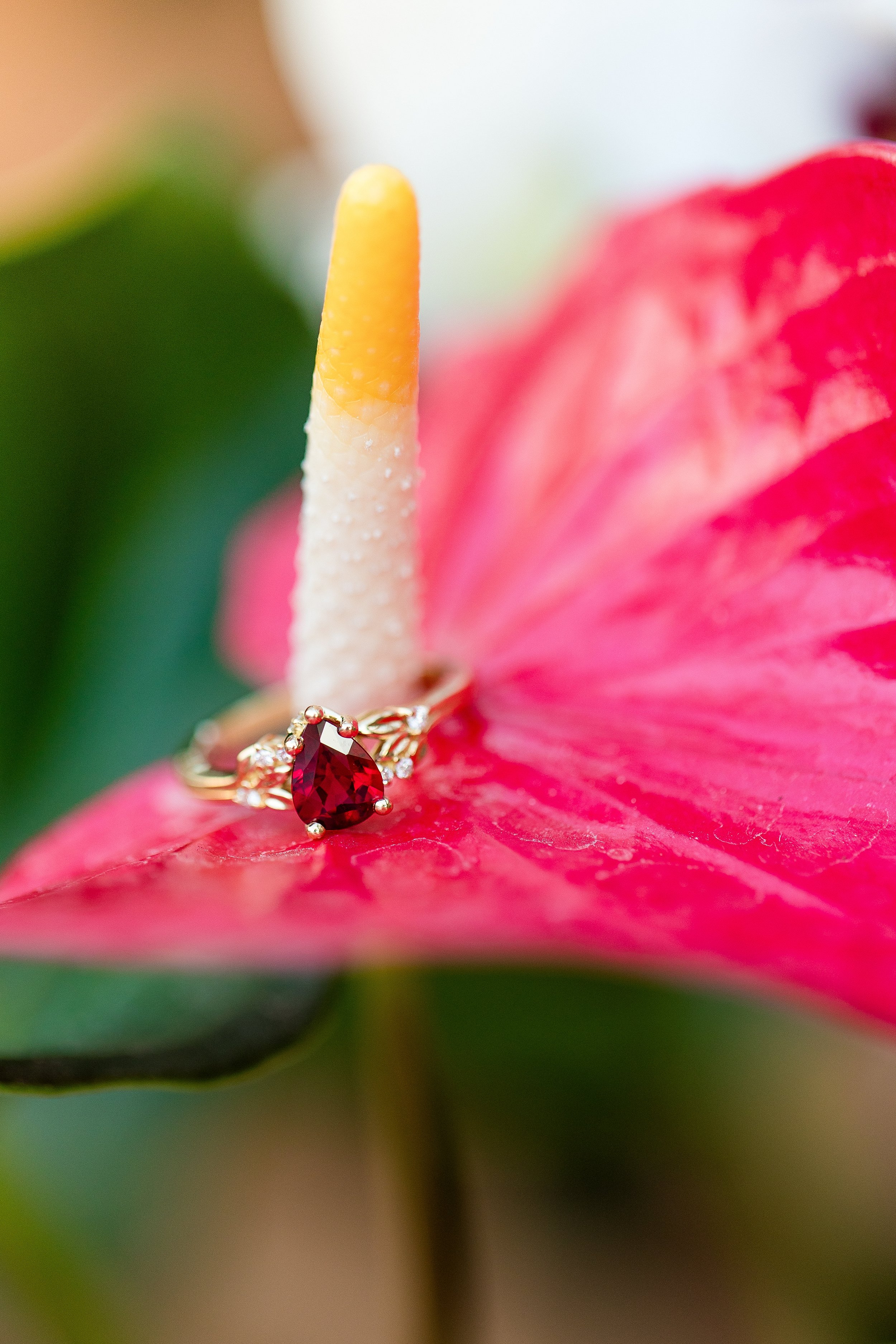 pittsburgh proposal photographer, pittsburgh proposal photography, phipps conservatory proposal, pittsburgh proposal ideas, wedding proposal