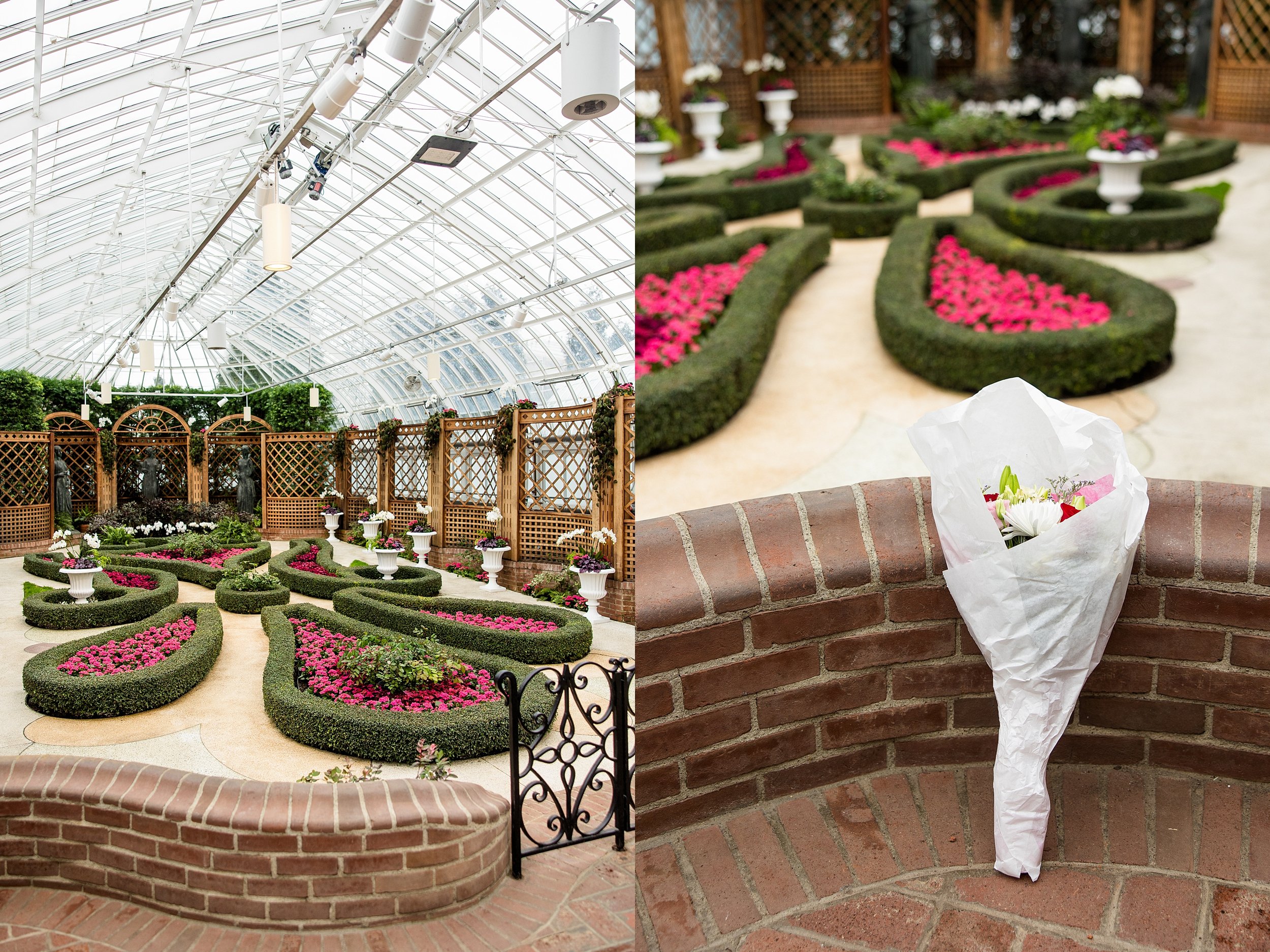 pittsburgh proposal photographer, pittsburgh proposal ideas, pittsburgh proposal location, pittsburgh proposal planner
