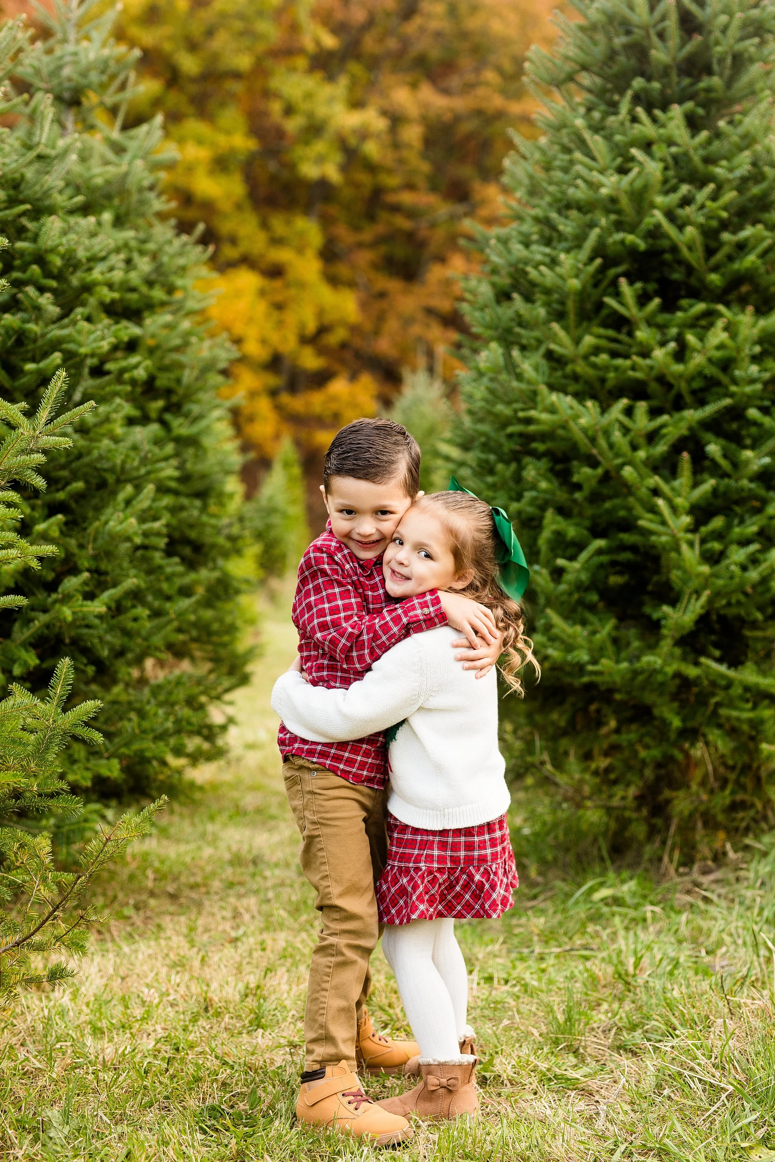 christmas tree farm mini photo sessions pittsburgh, christmas photos pittsburgh, grupps christmas tree farm photos, pittsburgh family photographer, zelienople photographer