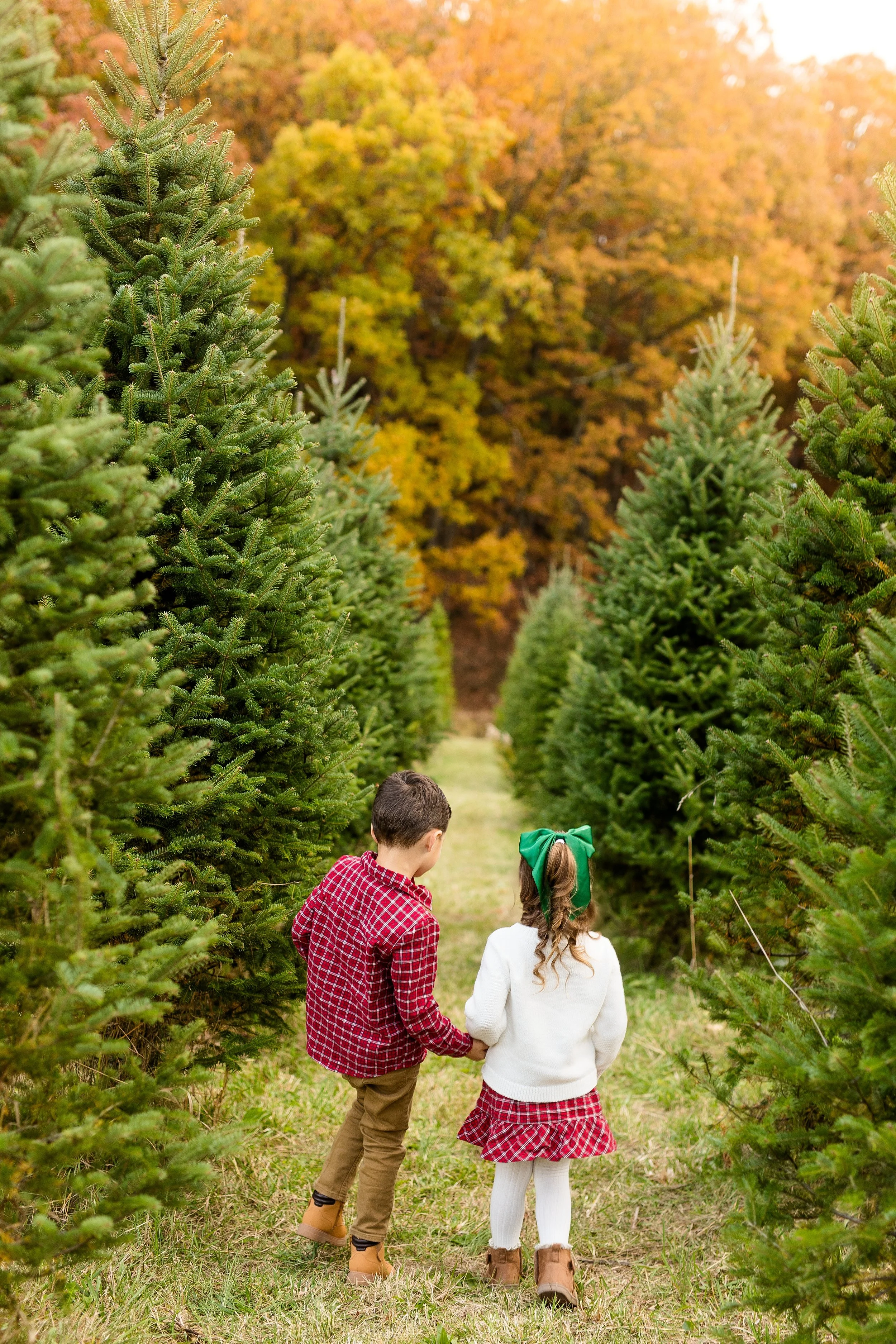 christmas tree farm mini photo sessions pittsburgh, christmas photos pittsburgh, grupps christmas tree farm photos, pittsburgh family photographer, zelienople photographer