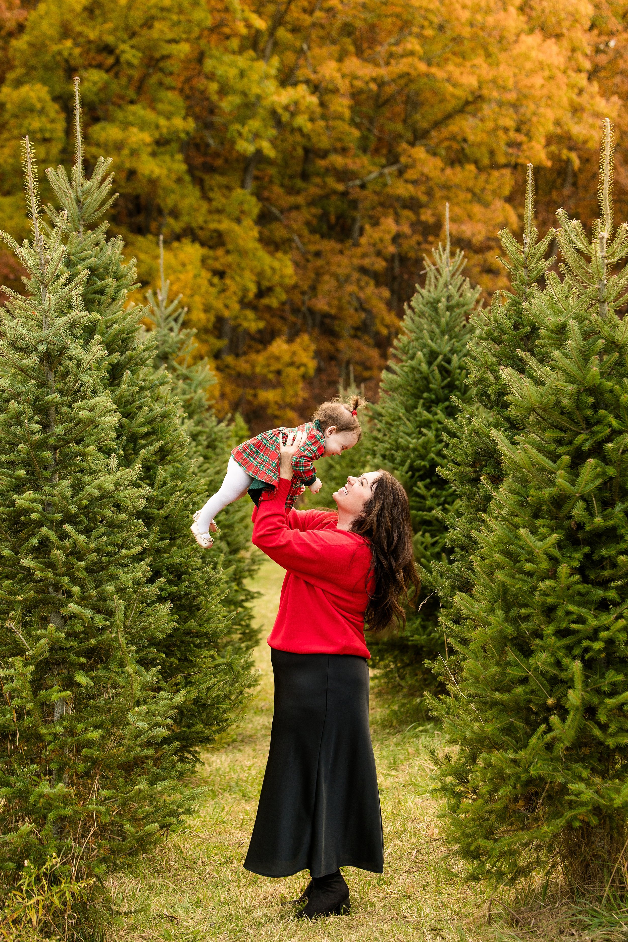 christmas tree farm mini photo sessions pittsburgh, christmas photos pittsburgh, grupps christmas tree farm photos, pittsburgh family photographer, zelienople photographer