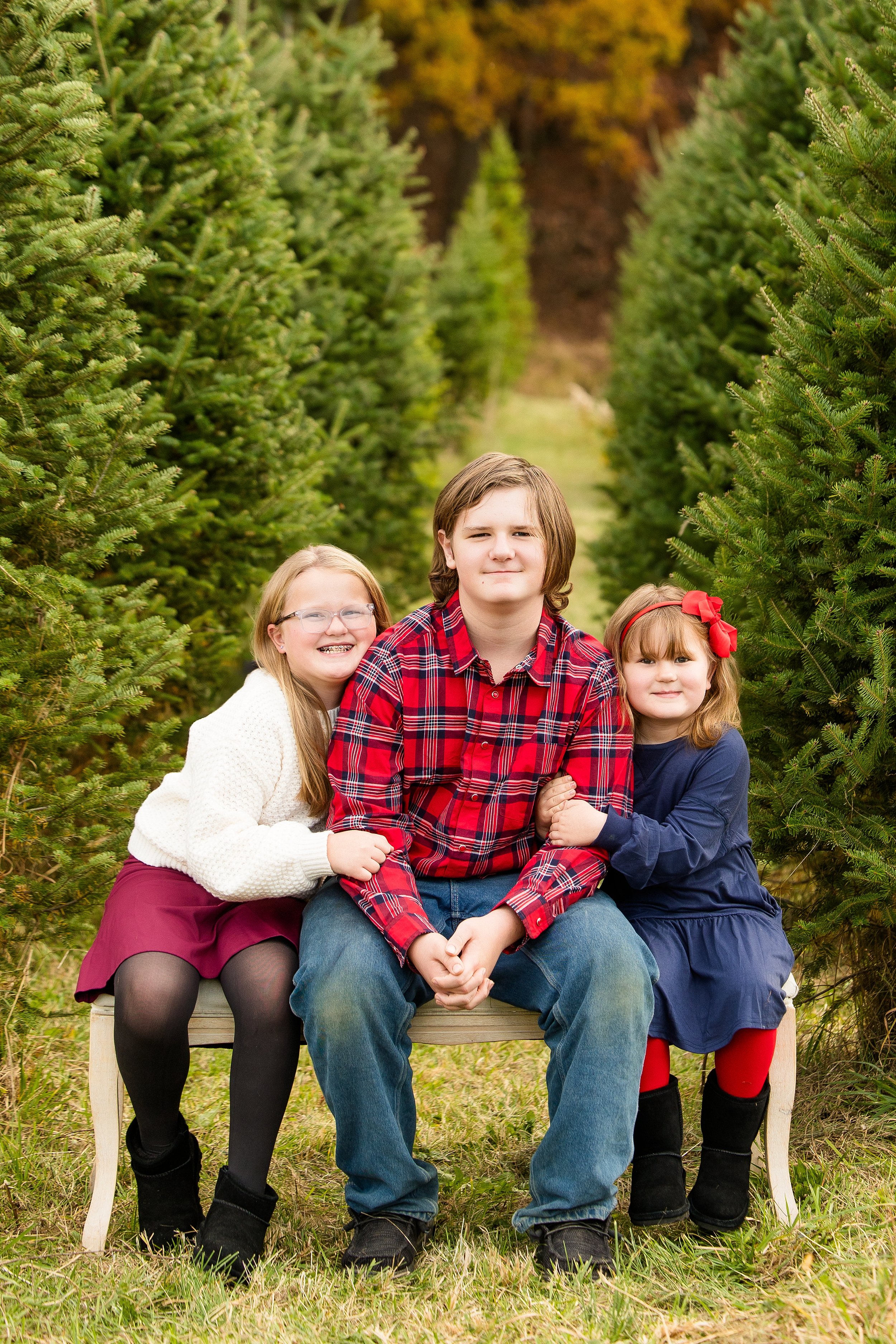 christmas tree farm mini photo sessions pittsburgh, christmas photos pittsburgh, grupps christmas tree farm photos, pittsburgh family photographer, zelienople photographer