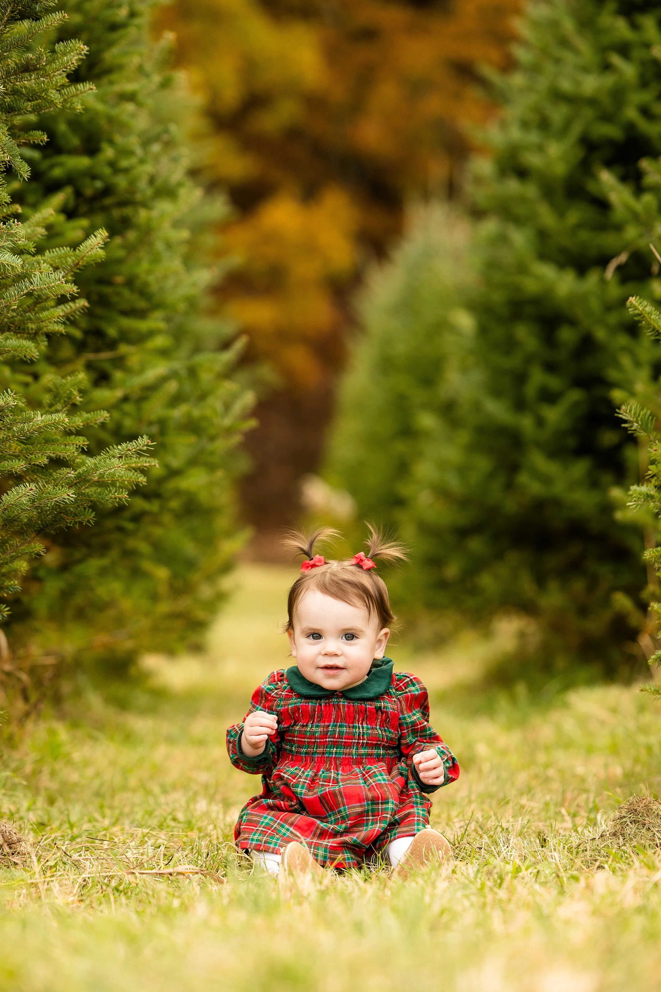 christmas tree farm mini photo sessions pittsburgh, christmas photos pittsburgh, grupps christmas tree farm photos, pittsburgh family photographer, zelienople photographer