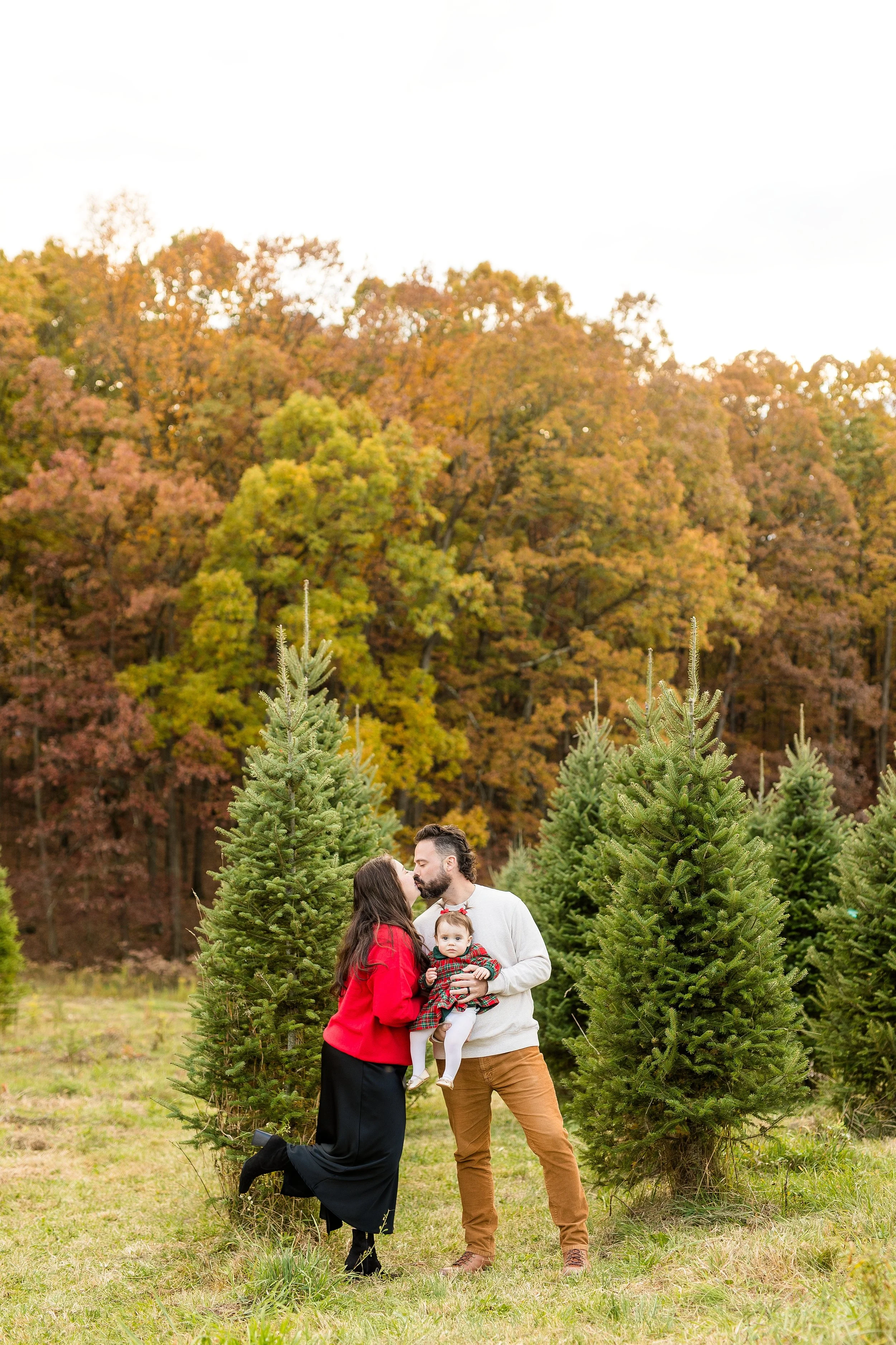christmas tree farm mini photo sessions pittsburgh, christmas photos pittsburgh, grupps christmas tree farm photos, pittsburgh family photographer, zelienople photographer